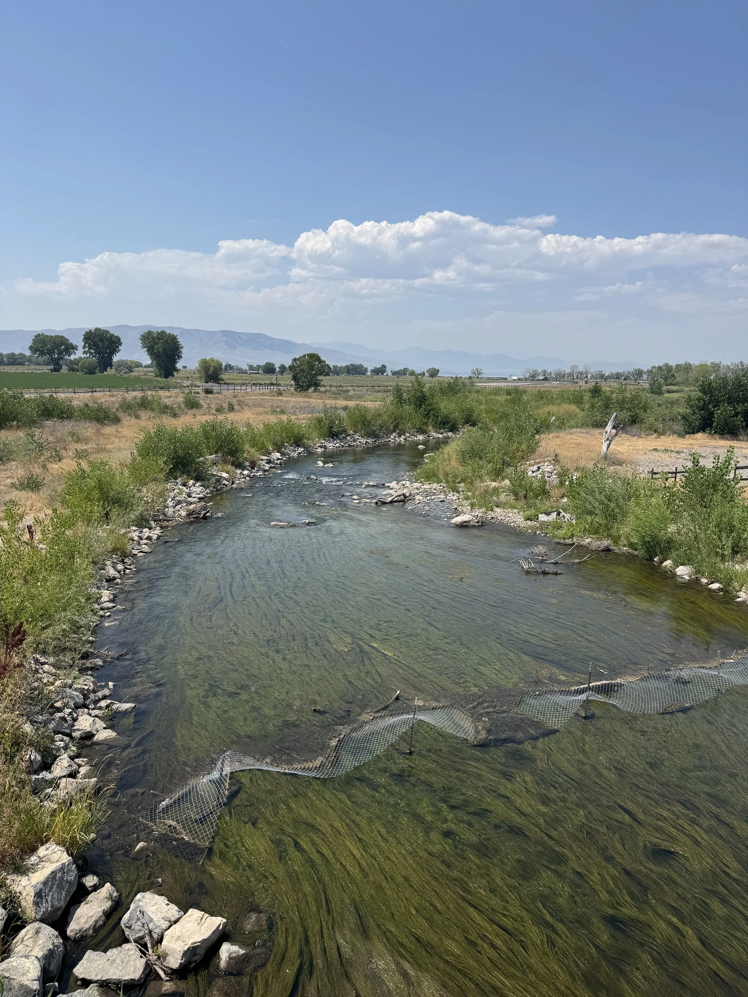 Tony attends stream restoration short course