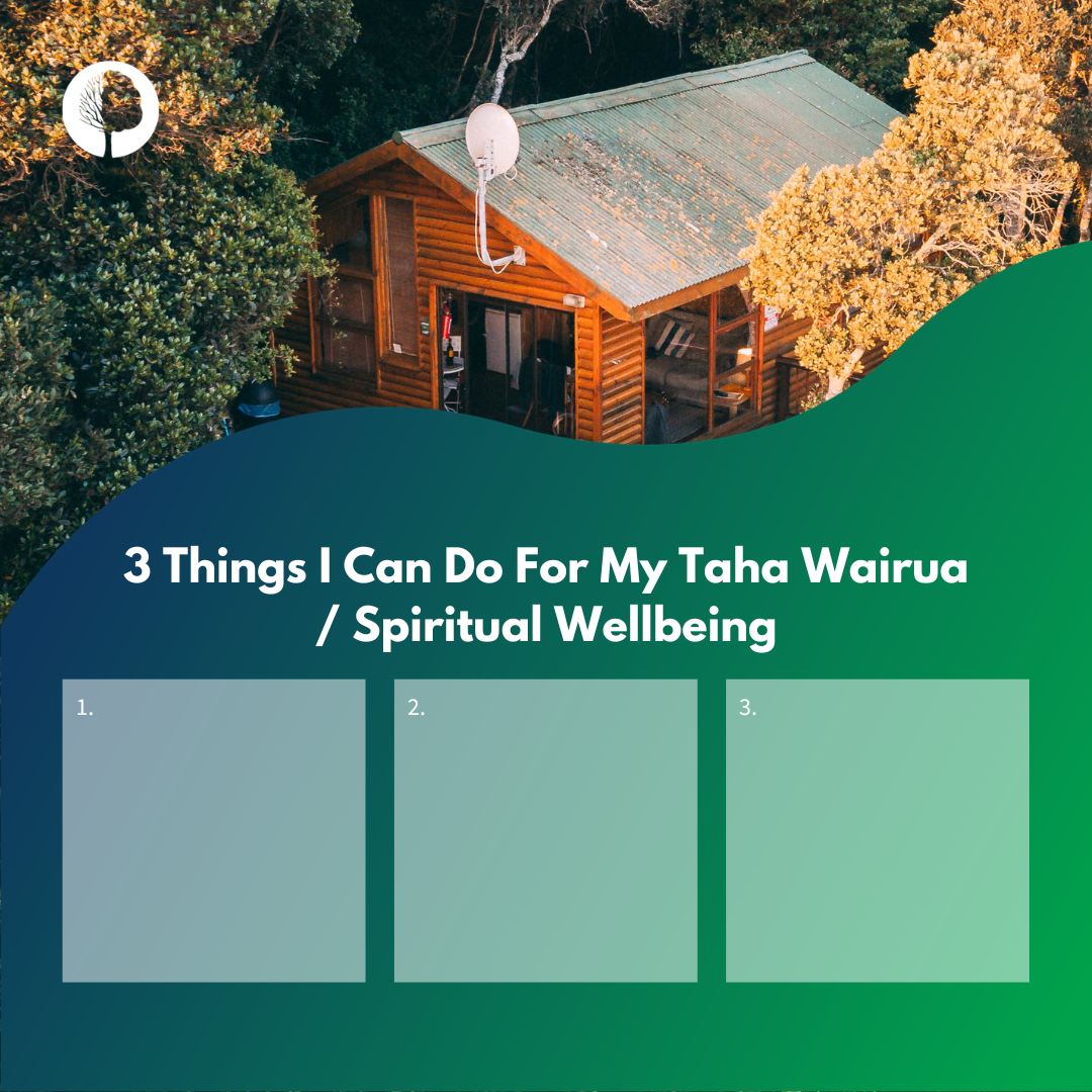 Taha Wairua _ Spiritual.png