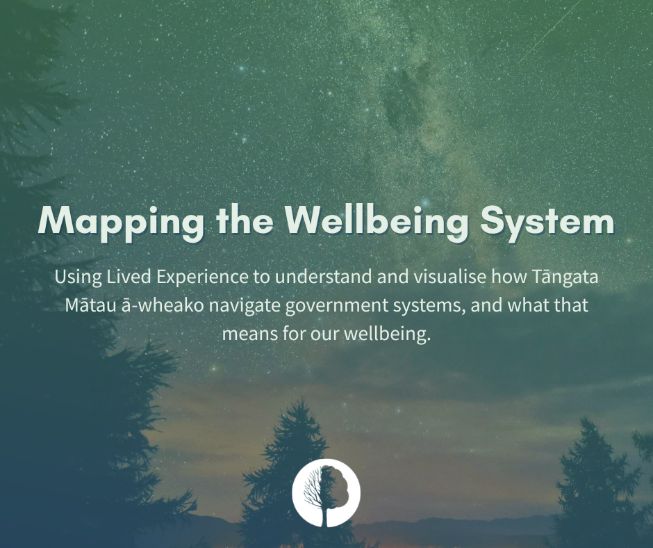 Mapping the Wellbeing System