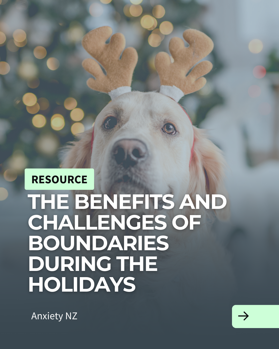 Christmas article 4.png