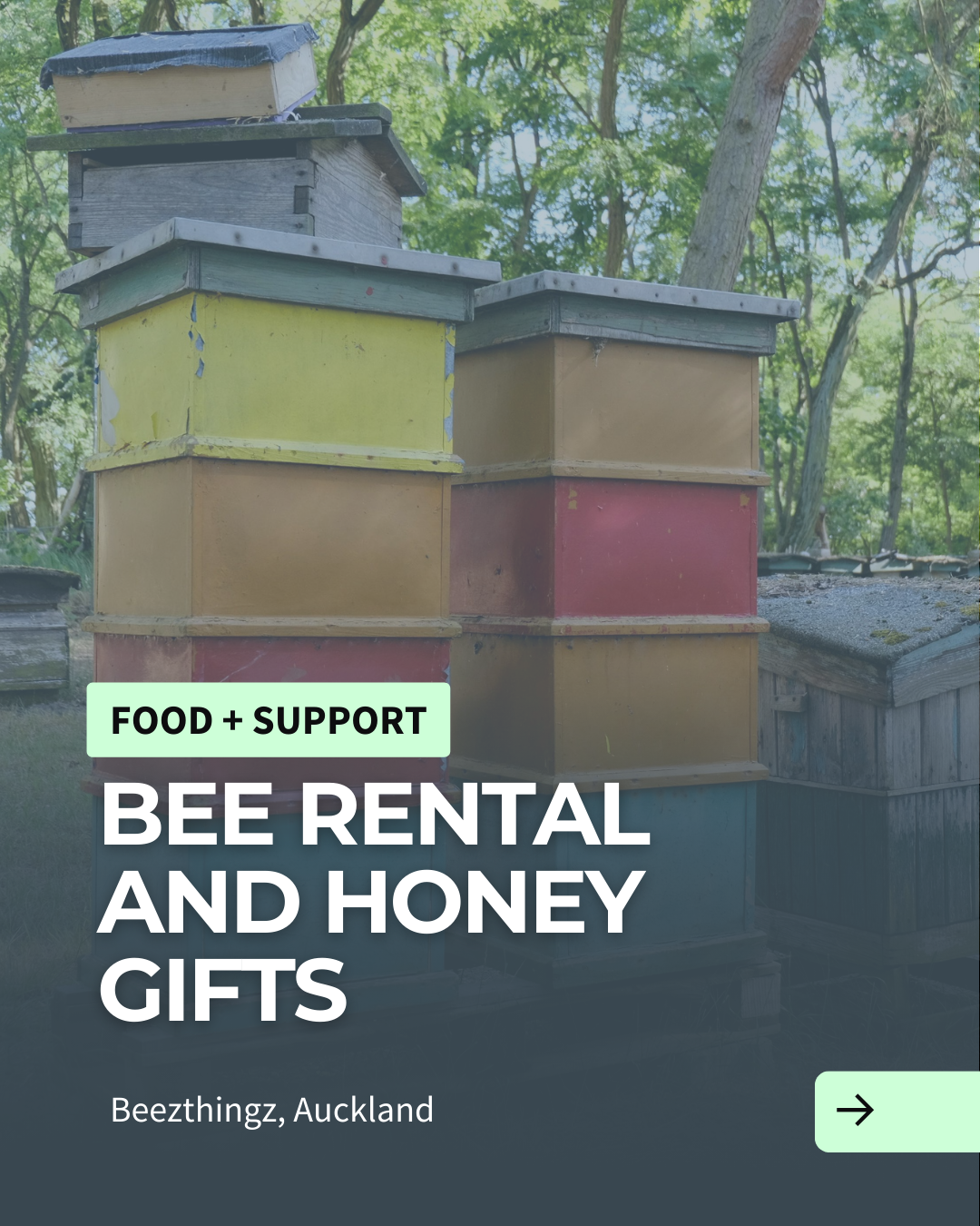 Christmas article 16.png