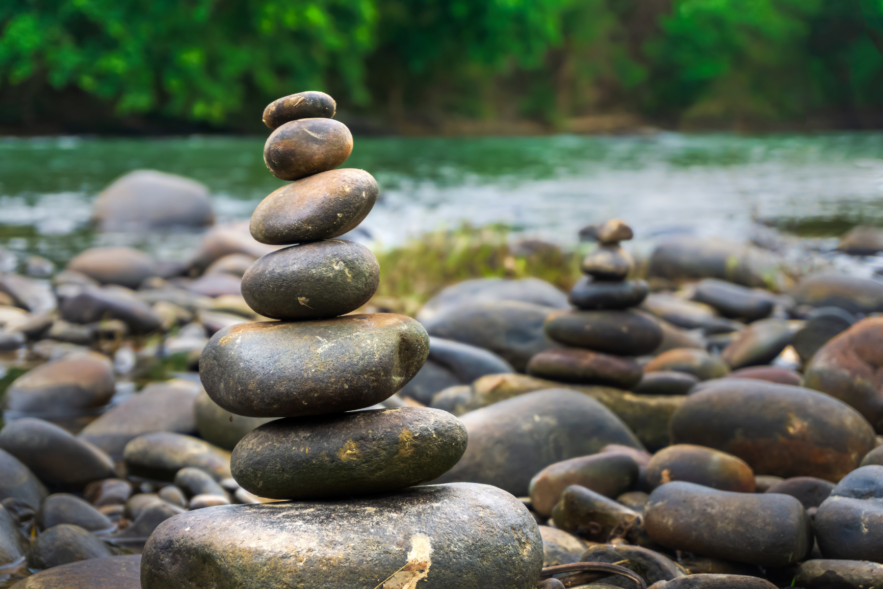Whakatau Mai | The Wellbeing Sessions