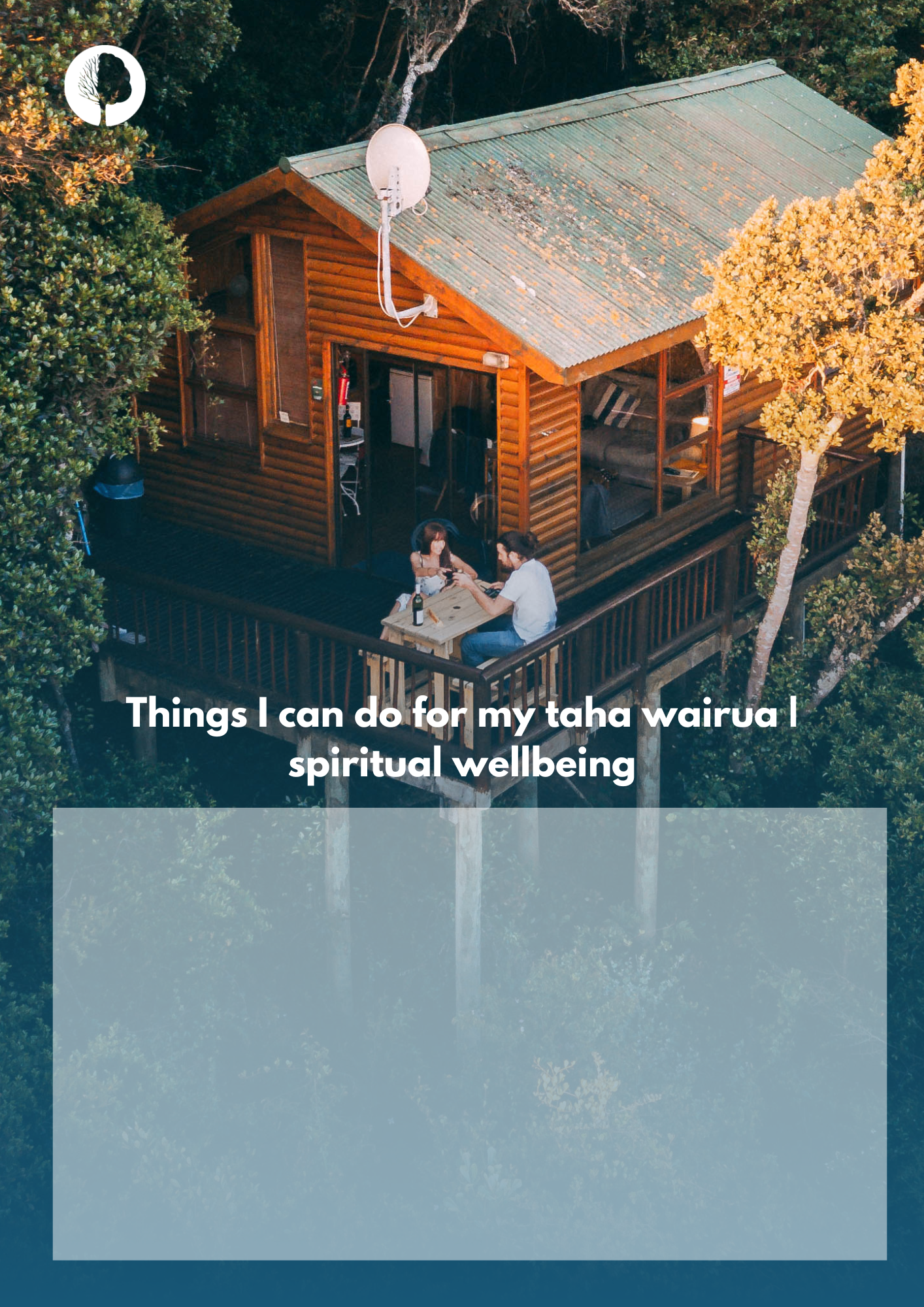 Taha Wairua  Spiritual.png