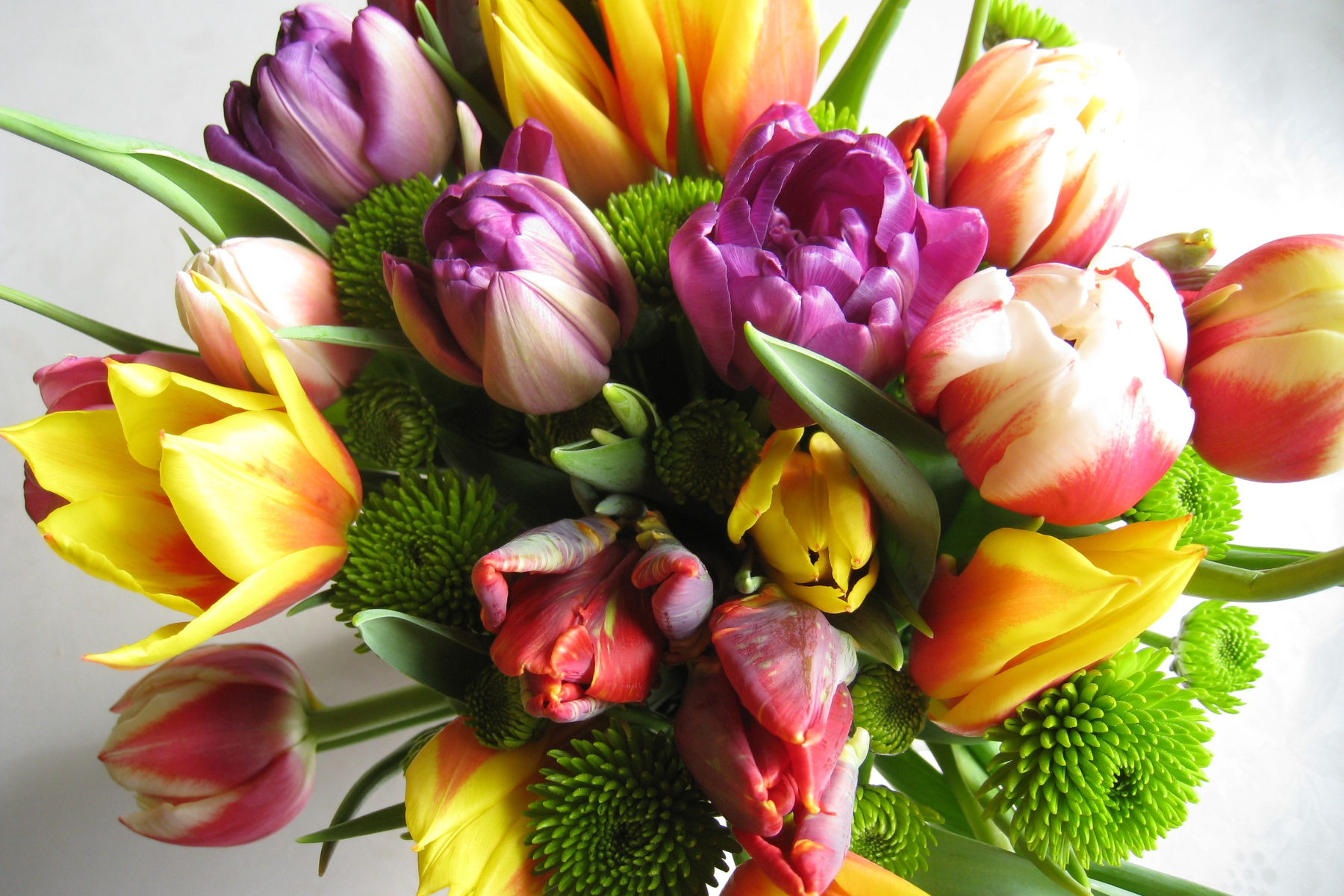 A new beginning | haere rā Taimi