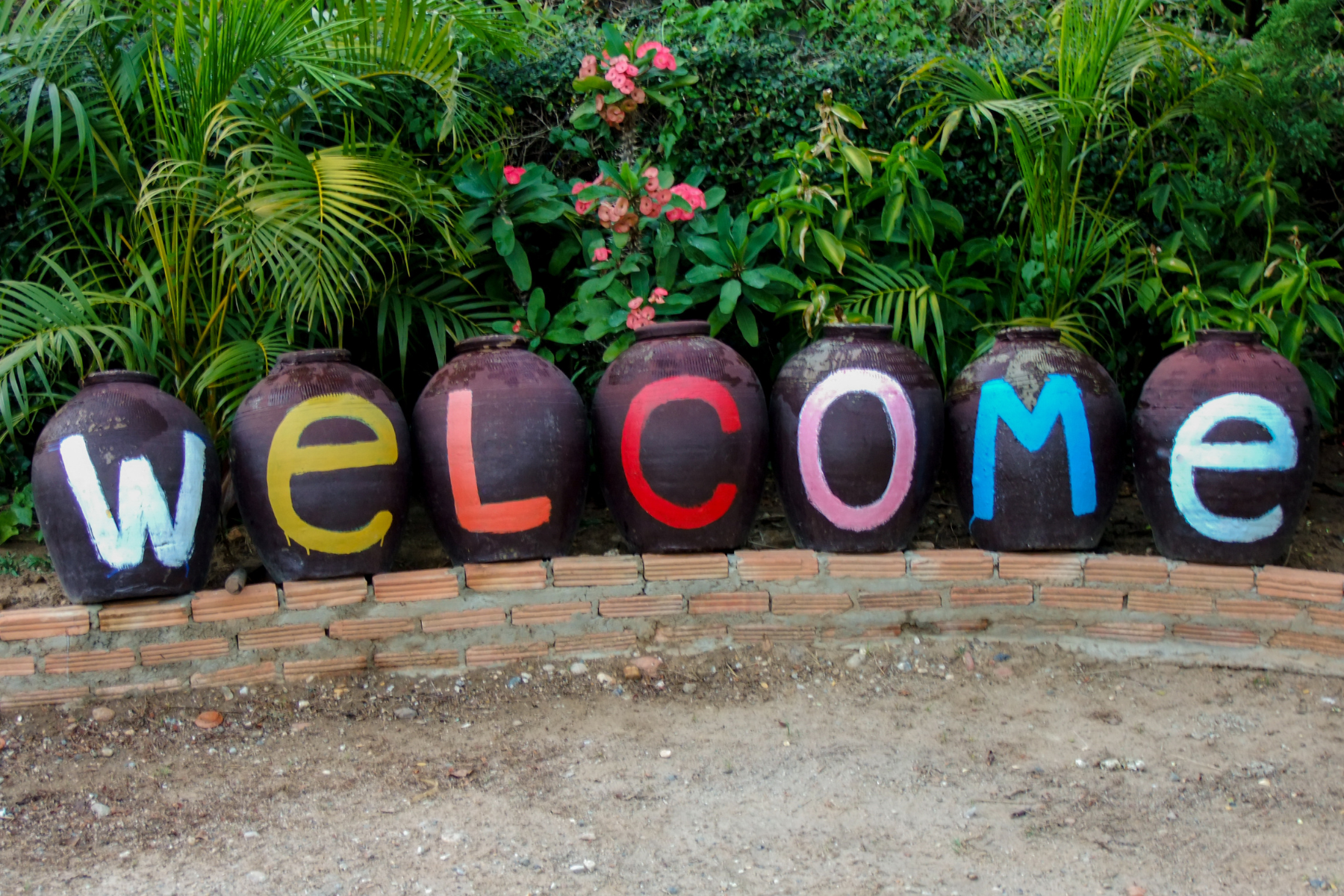 Changing Minds announces appointment of new CEO