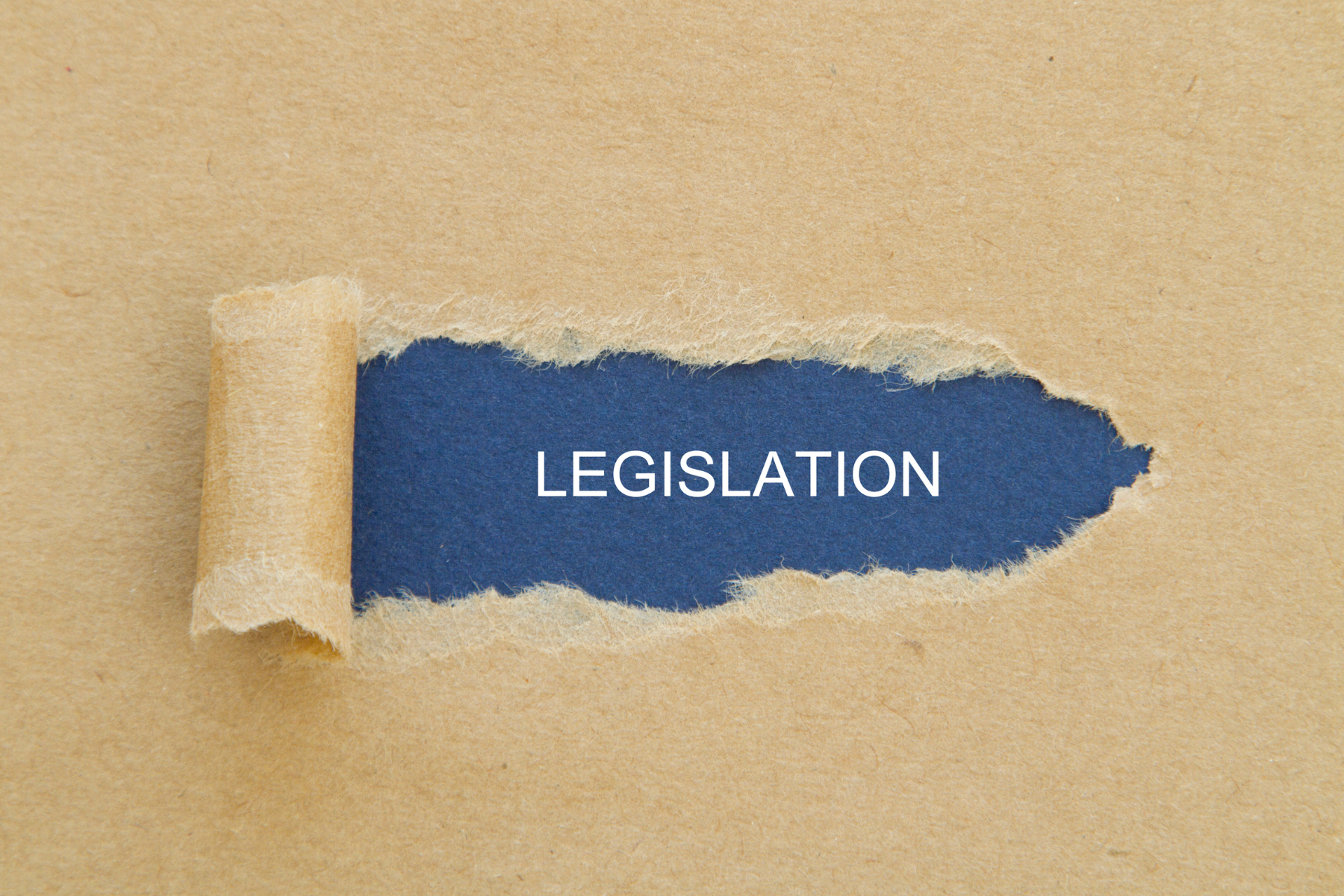 What is in the "Rights for Victims of Insane Offenders Bill"?