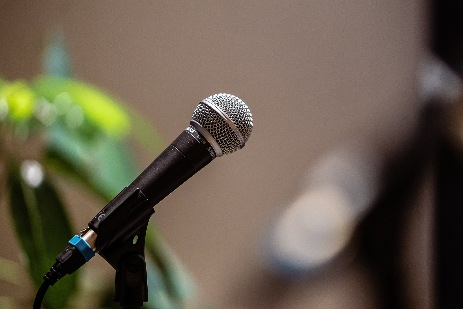 Pae Ora (Healthy Futures) Amendments Bill Hearing