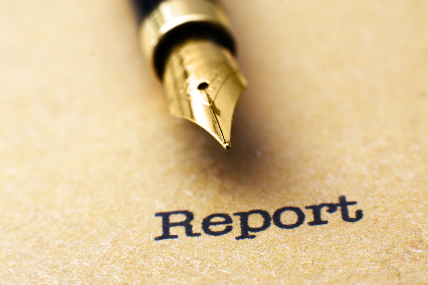 Te Hiringa Mahara’s 2024 Report