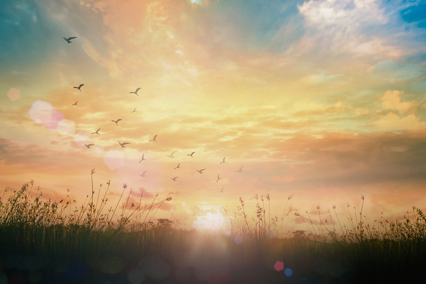 Starting out in peer support