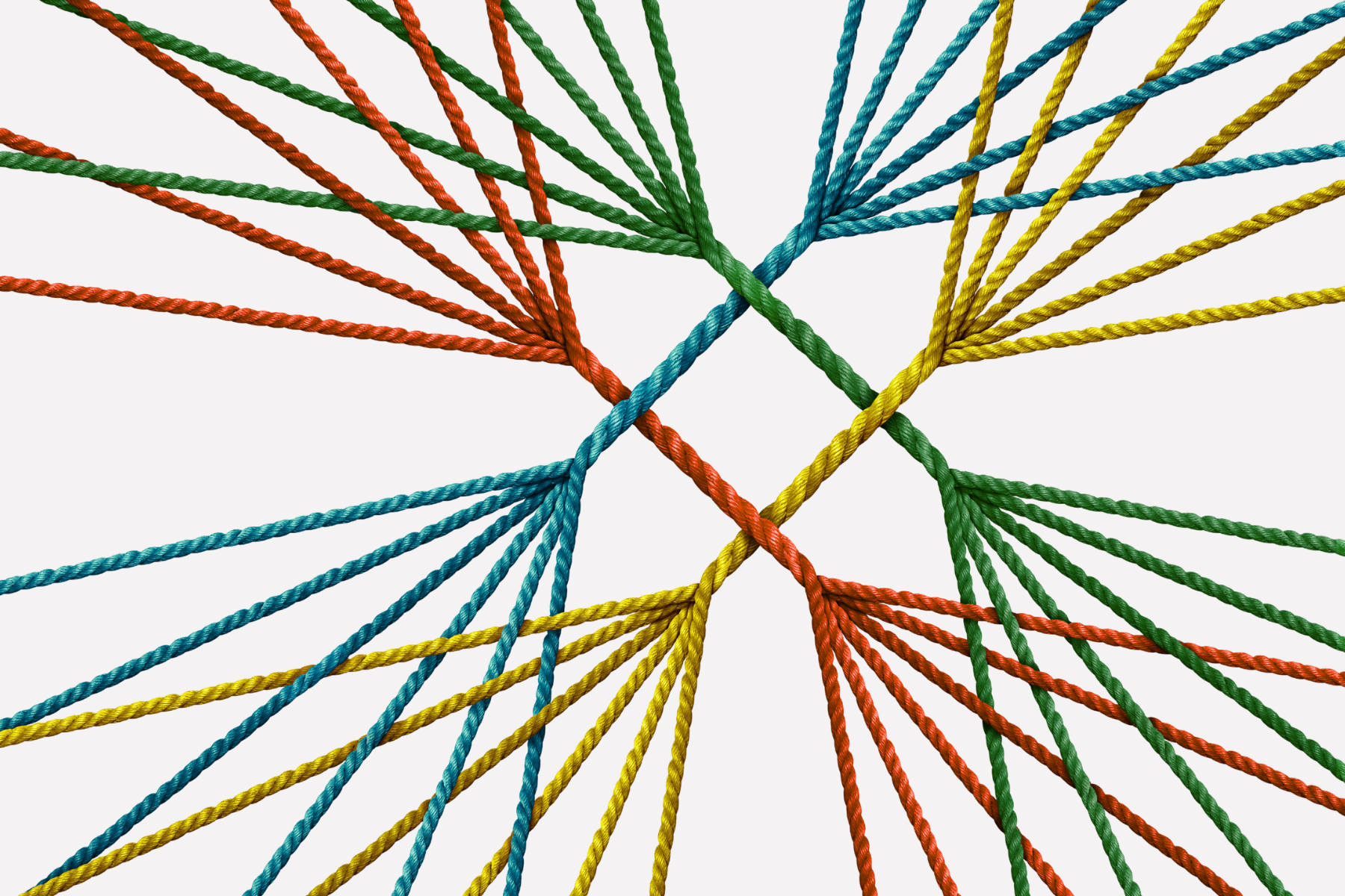 Participate in the project