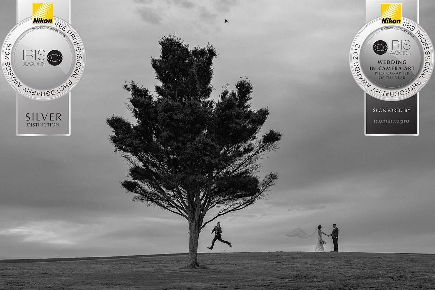 Black and white photo of a lush tall tree on a hilltop with a person jumping in front of it and a couple holding hands and facing each other in the background, with a cloudy sky and a single bird flying overhead.
