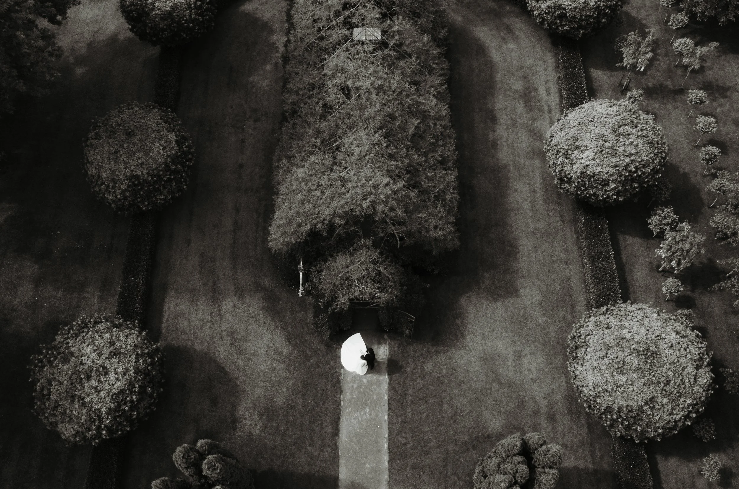 A black-and-white aerial view of a park with a paved walkway leading to a bench under a tree. The park is surrounded by numerous trees and shrubs, creating a symmetrical landscape. Tree church wedding venue