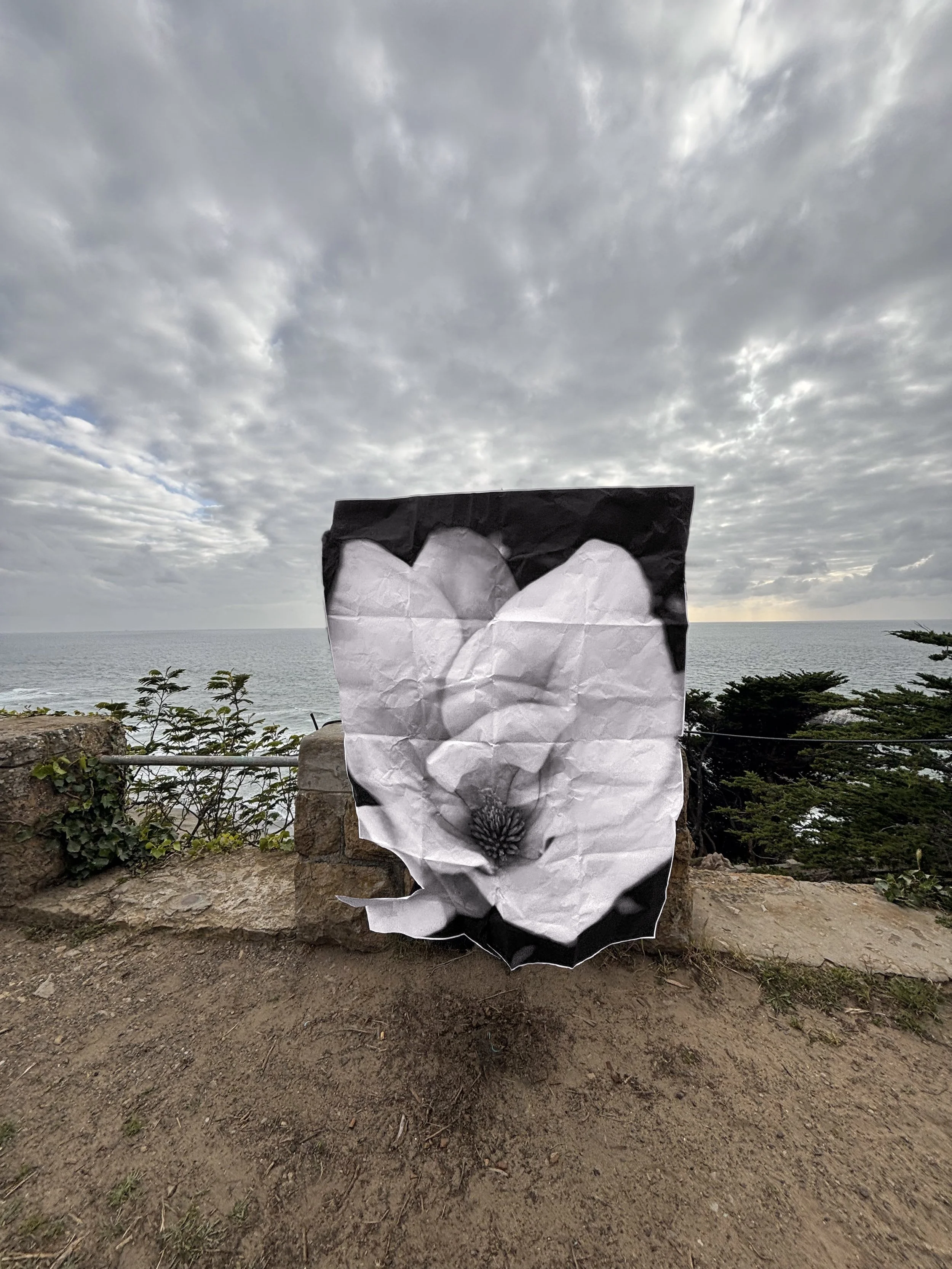IMG_1218.JPG