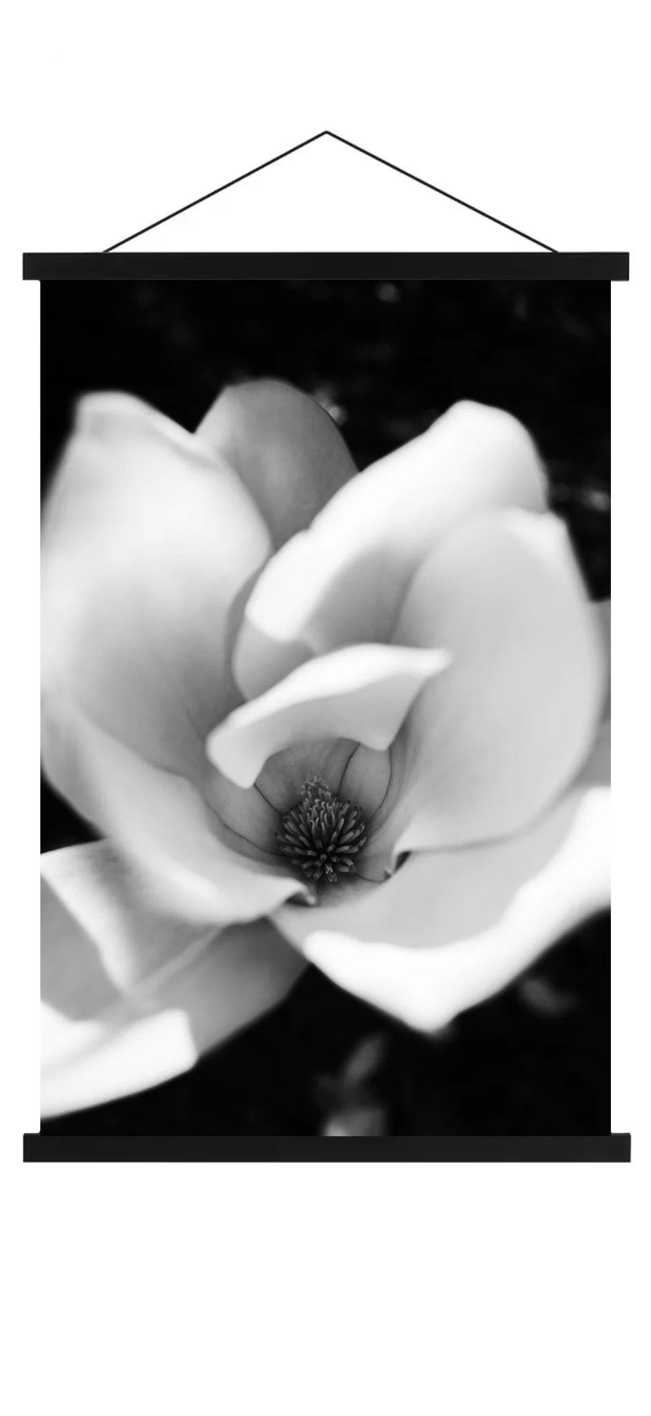 magnolia hanging copy.jpg