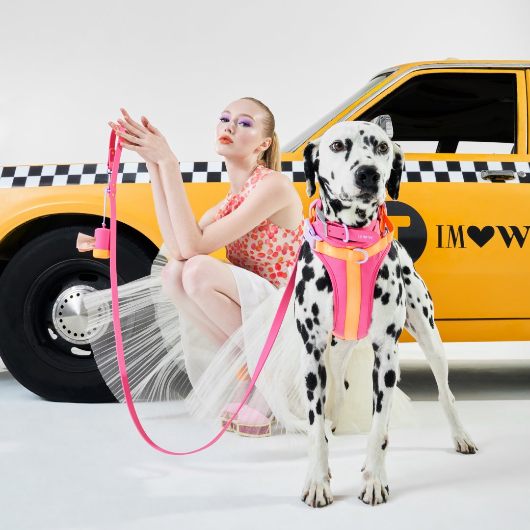 Isaac Mizrahi x Wild One Collection