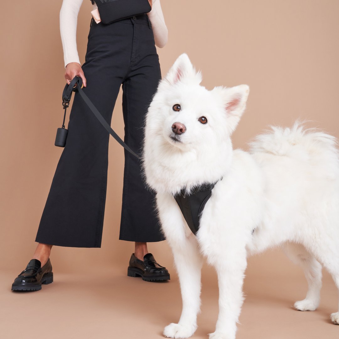 Winter Collection