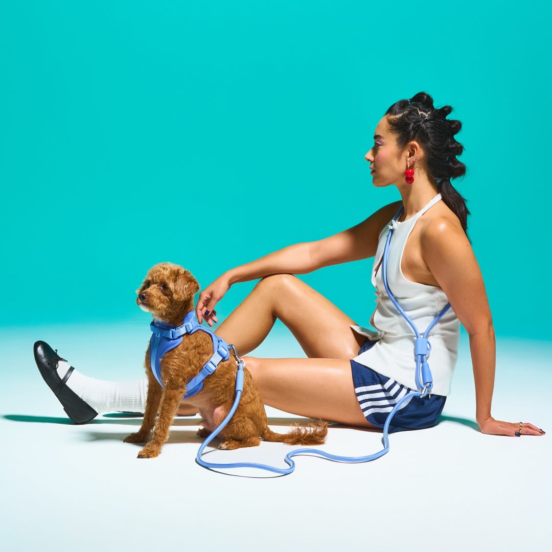 Rope Leash Launch