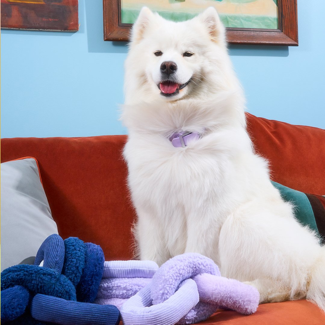 Plush Toys