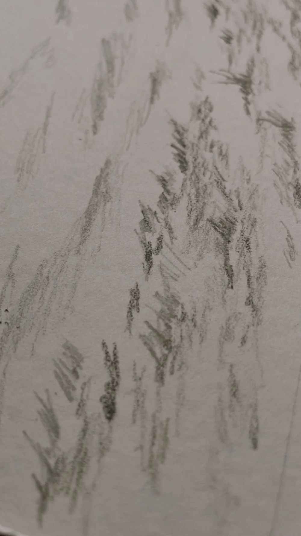 How to Choose Artwork for Your Home, Collecting and Curating Original