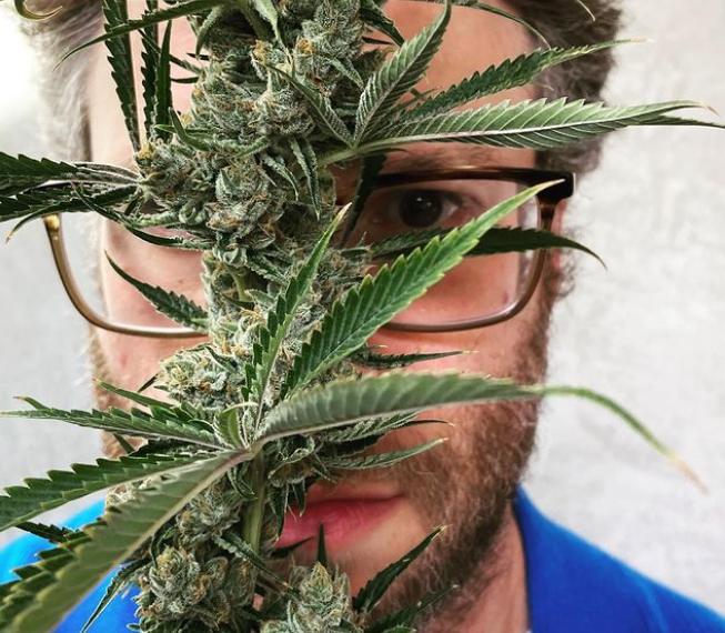 Seth Rogen, fundador de Houseplant. Foto: Instagram/sethrogen