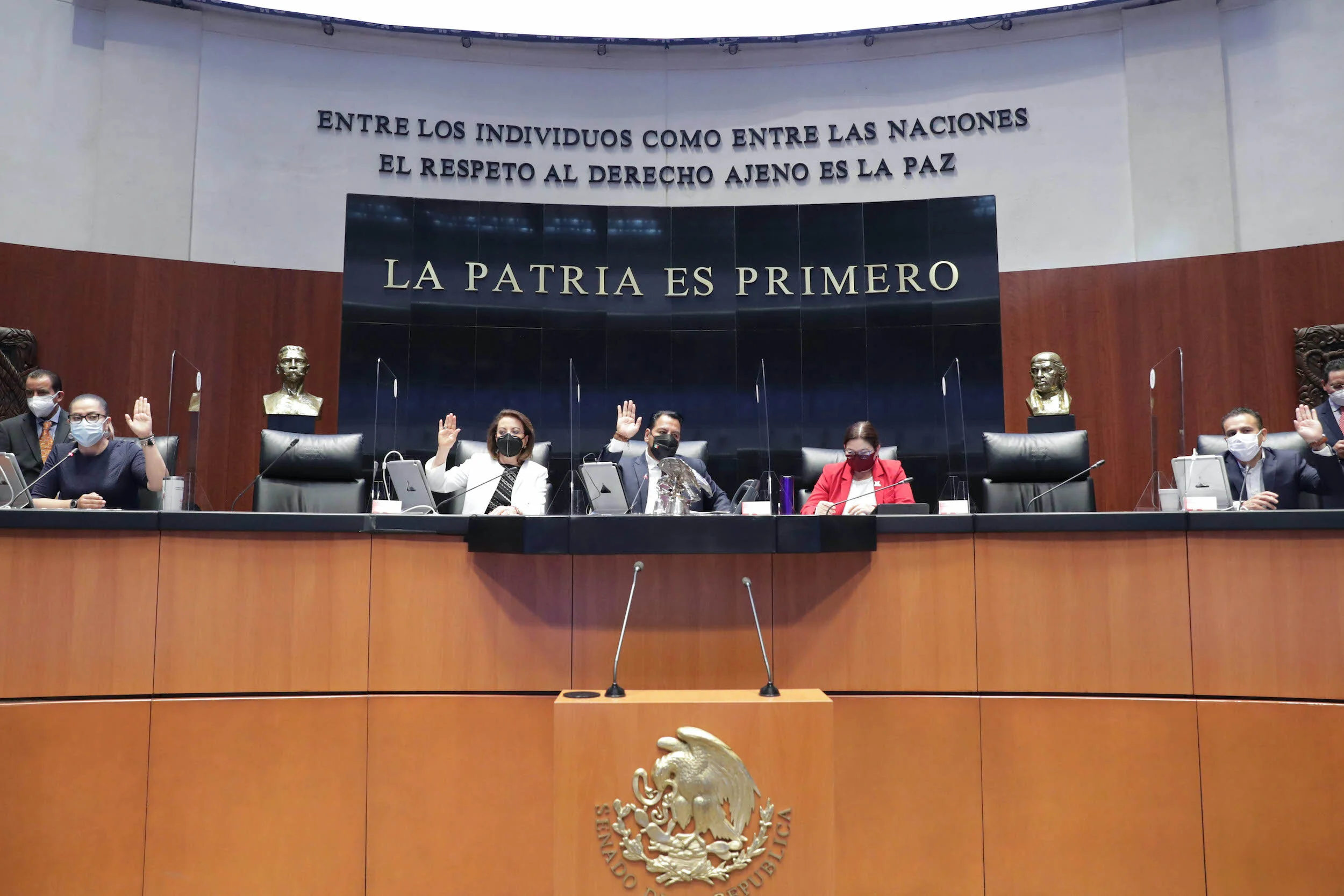   Foto: Senado de la República  