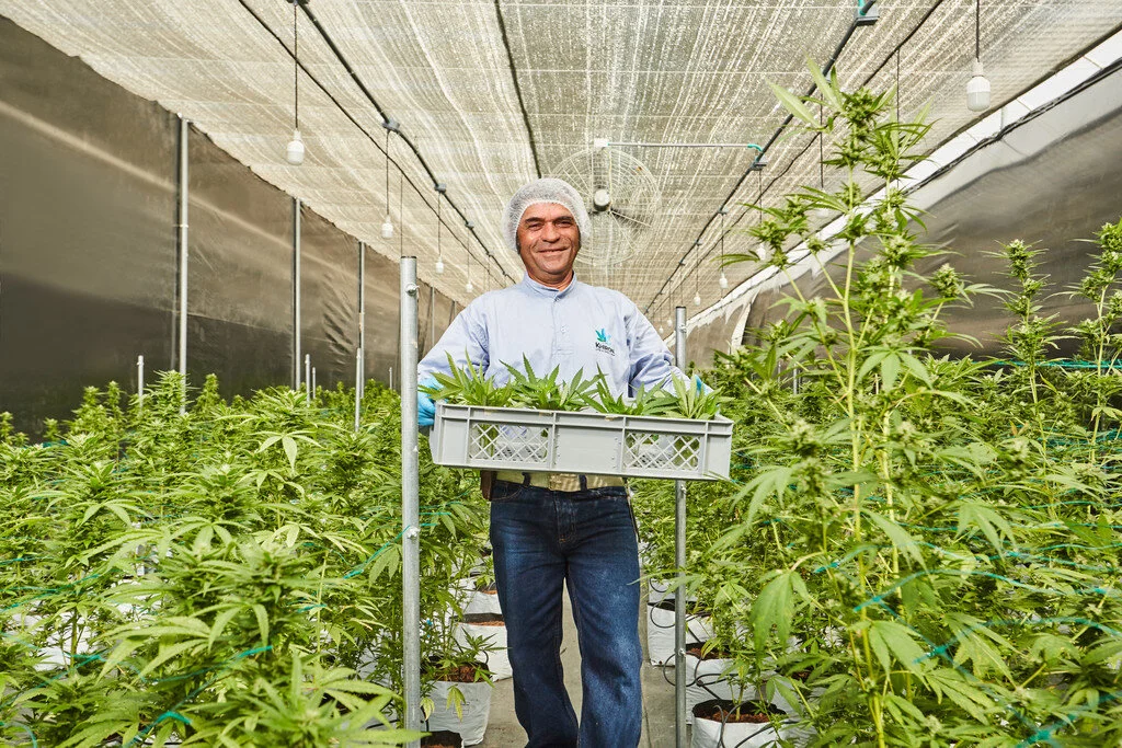   Imágenes: Khiron Life Sciences.  