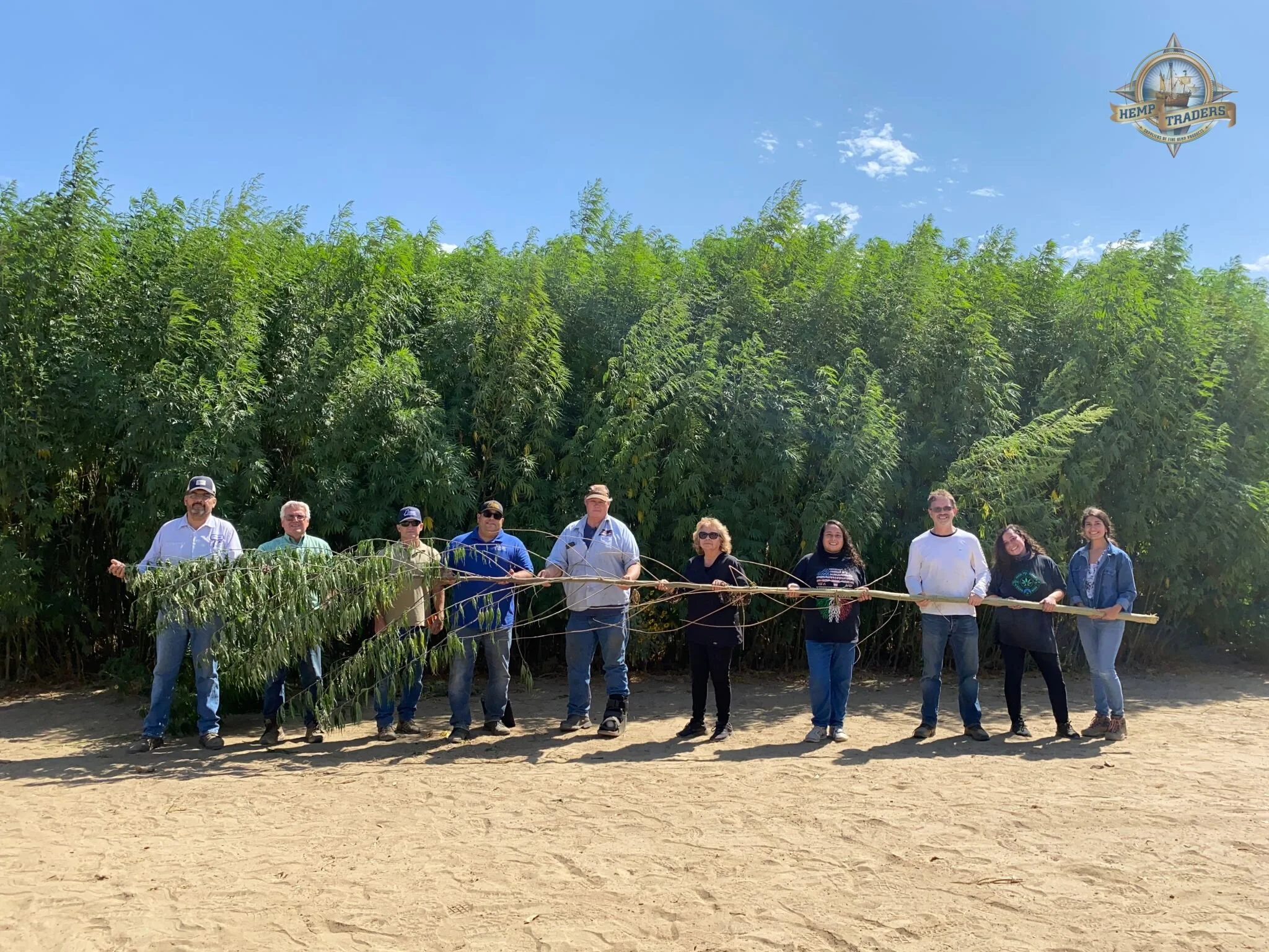   Imágenes: Hemp Traders.  