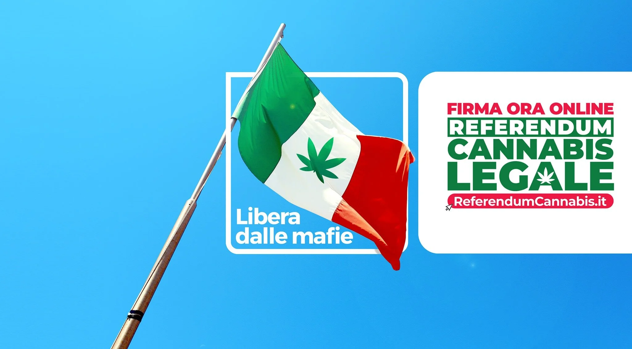   Imágenes: ReferendumCannabis.it  
