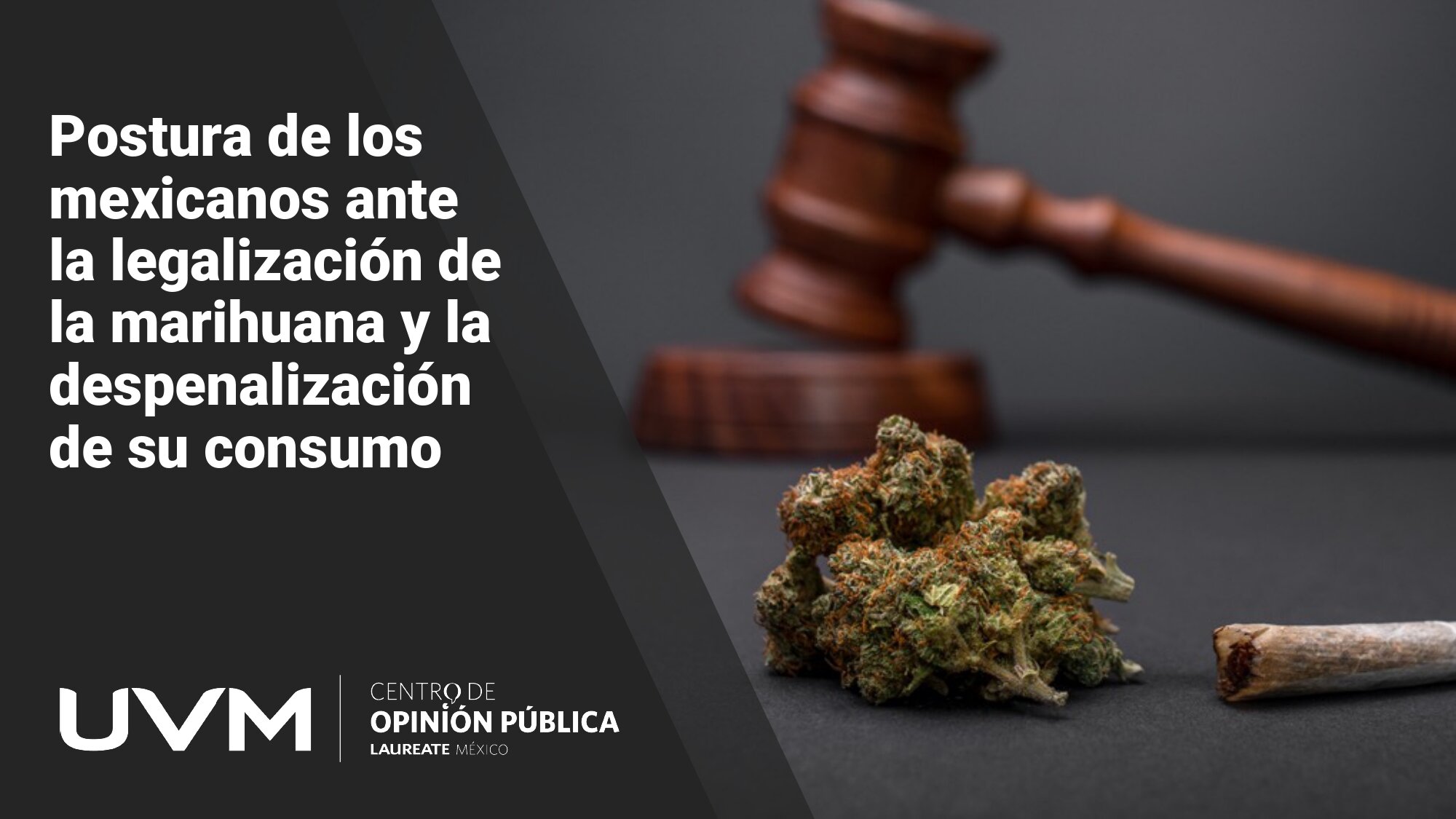 Postura de los mexicanos ante la legalizacion de la marihuana y la despenalizacion de su consumo_page-0001.jpg