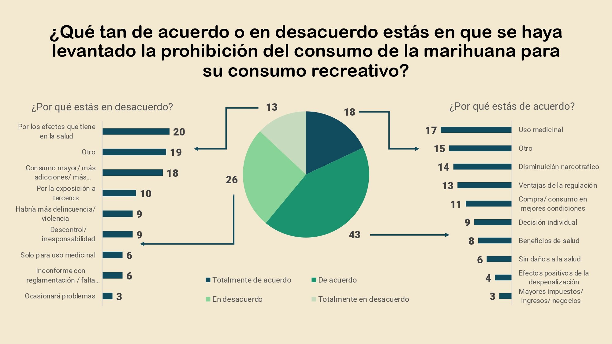 Postura de los mexicanos ante la legalizacion de la marihuana y la despenalizacion de su consumo_page-0017.jpg