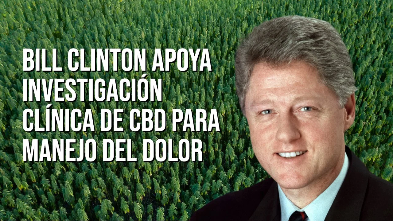   Imágenes de Bill Clinton:    Casa Blanca   ,    Fundación Clinton   .  