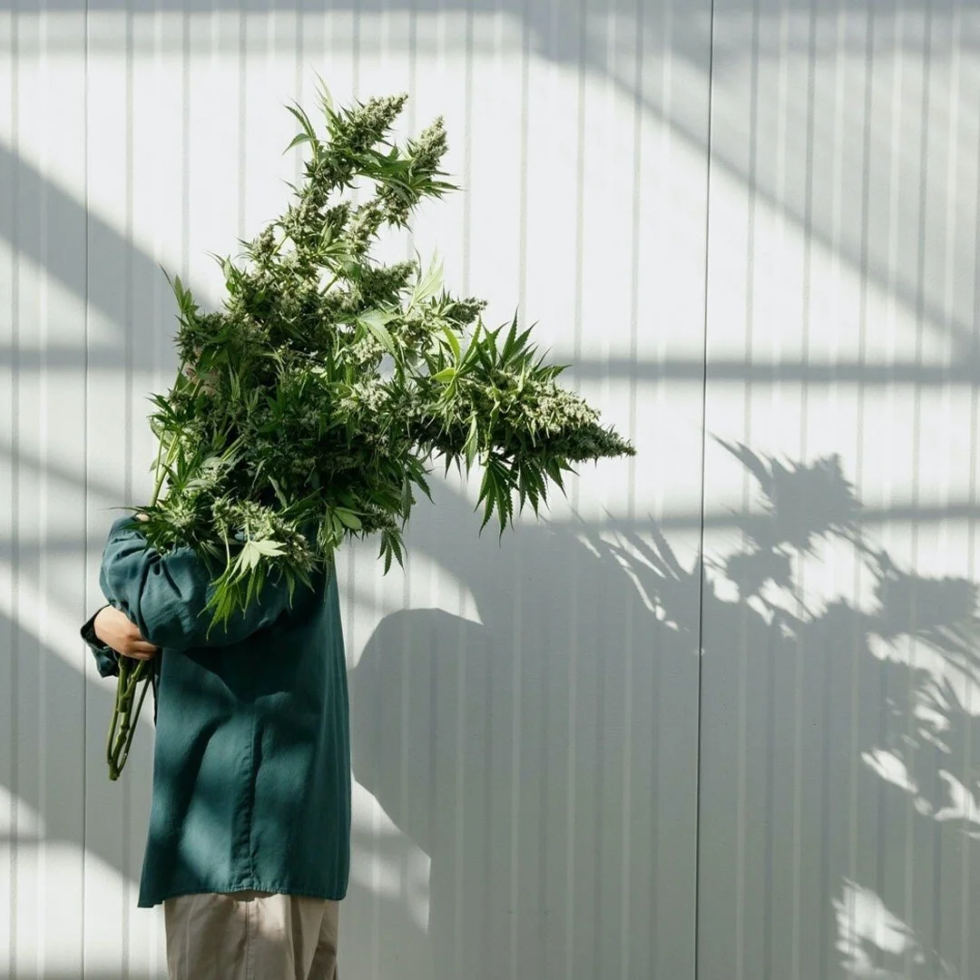  Imagen:  Realm of Caring Foundation . 