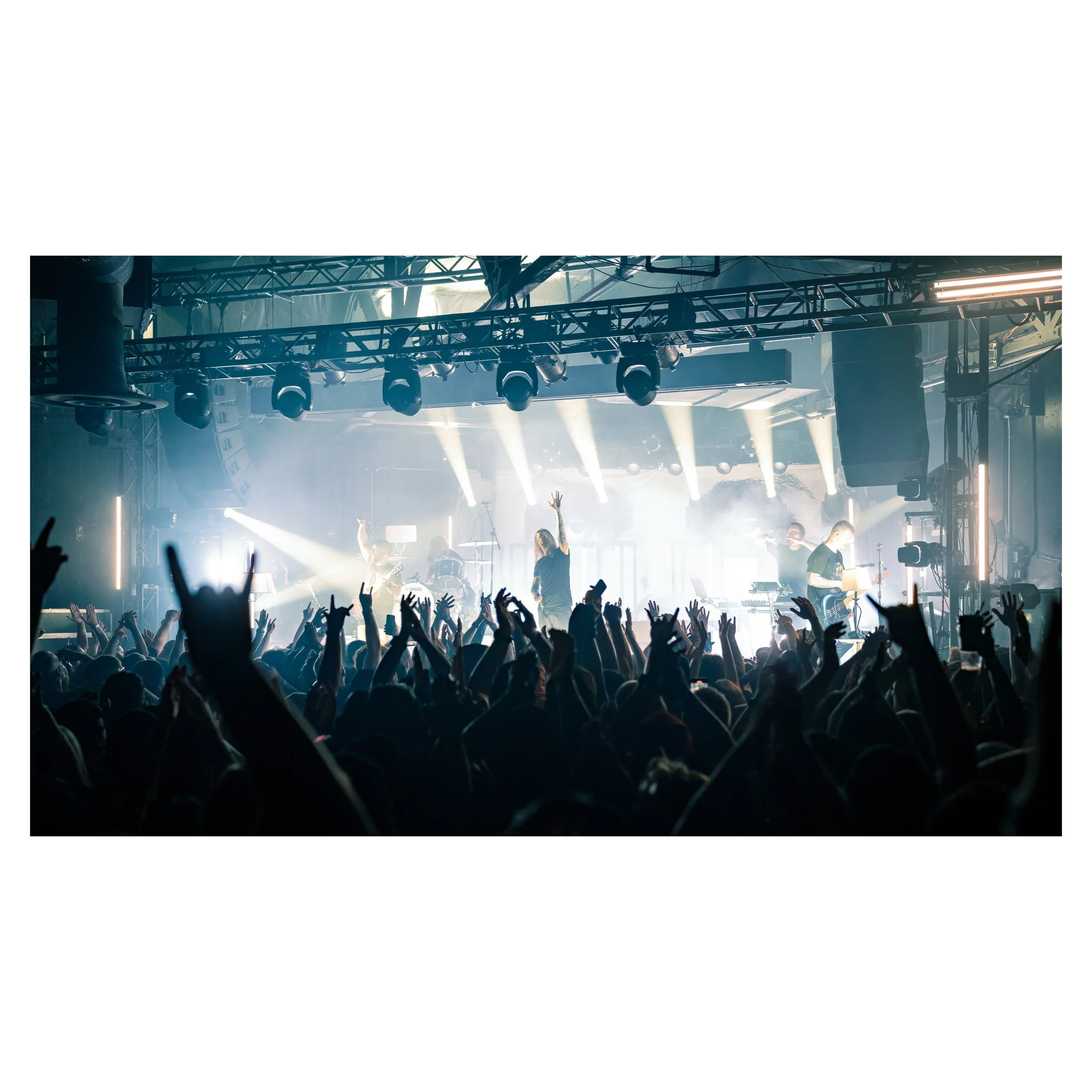 Whitagram-Image-1.jpg