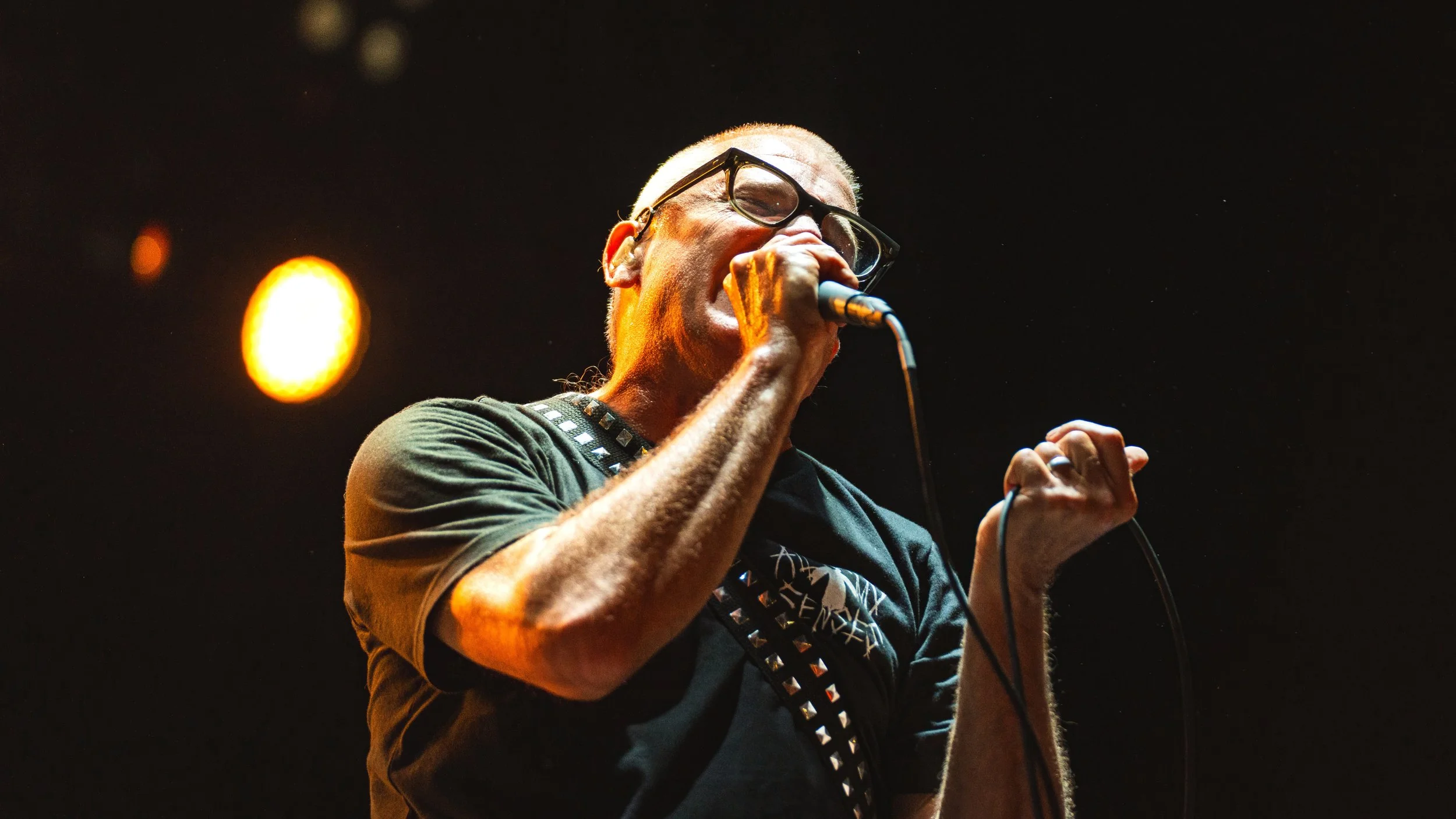 Milo Aukerman, Descendents