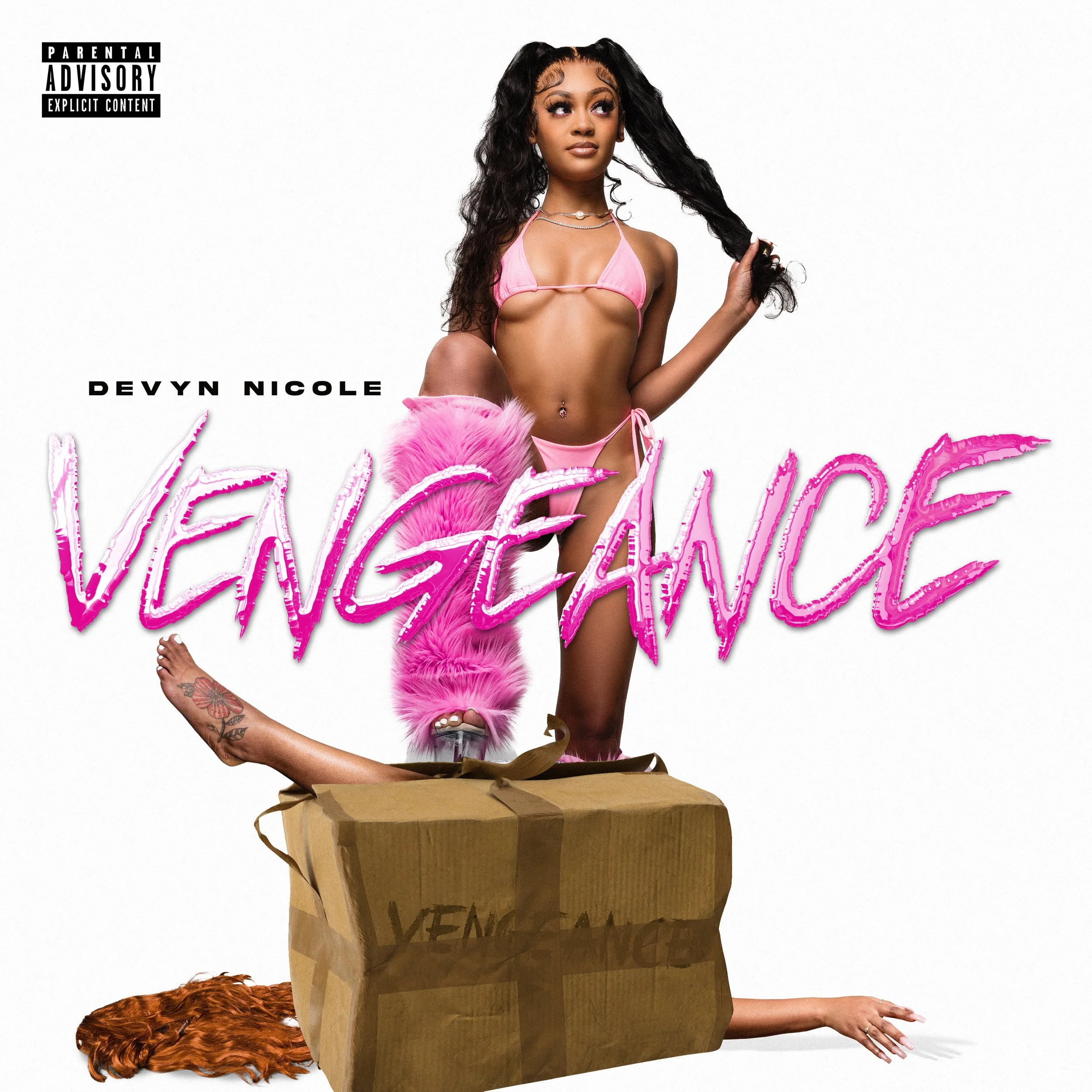 Devyn-Nicole-Vengeance- Cover-single-rollout.jpg