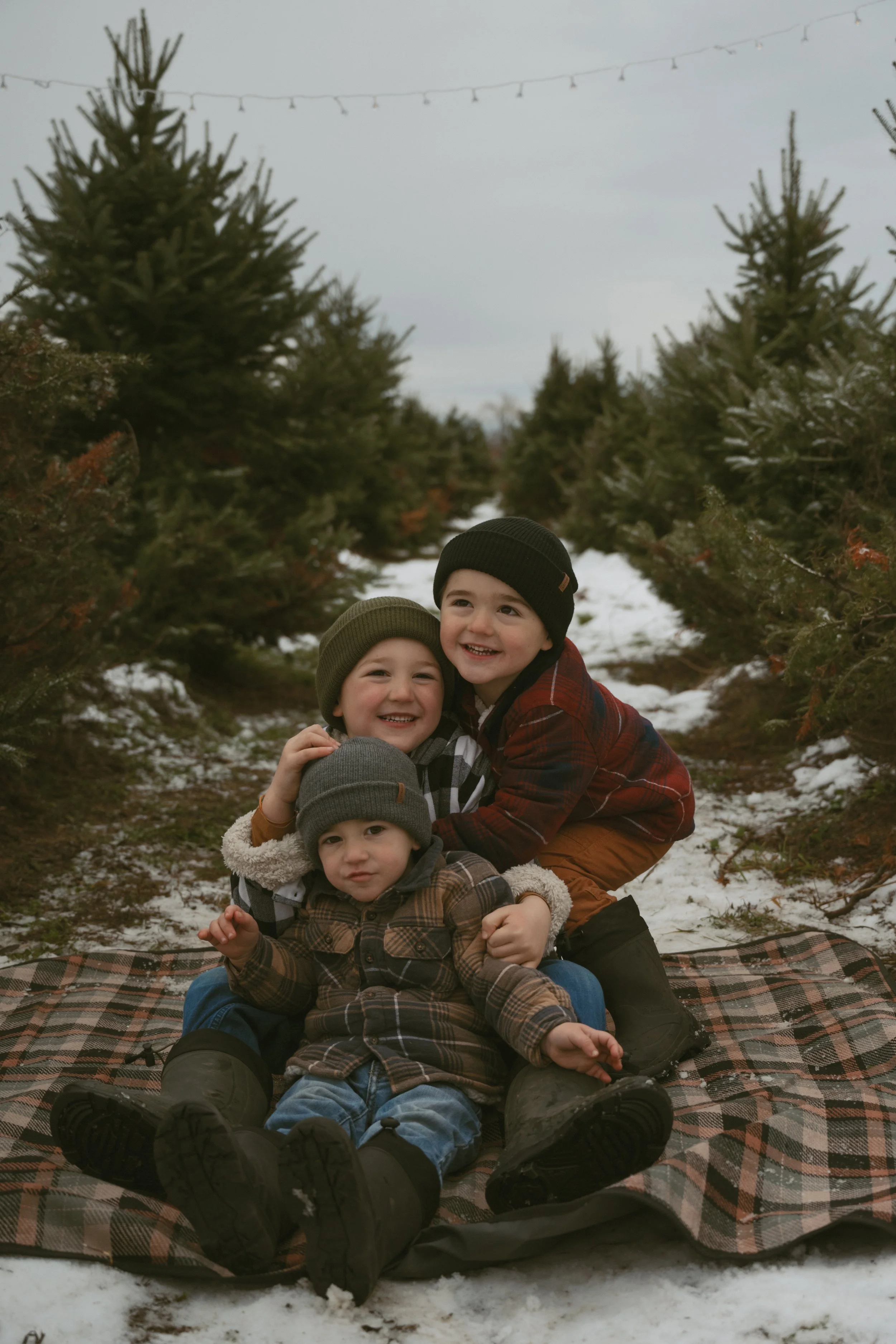 Tree Farm Minis