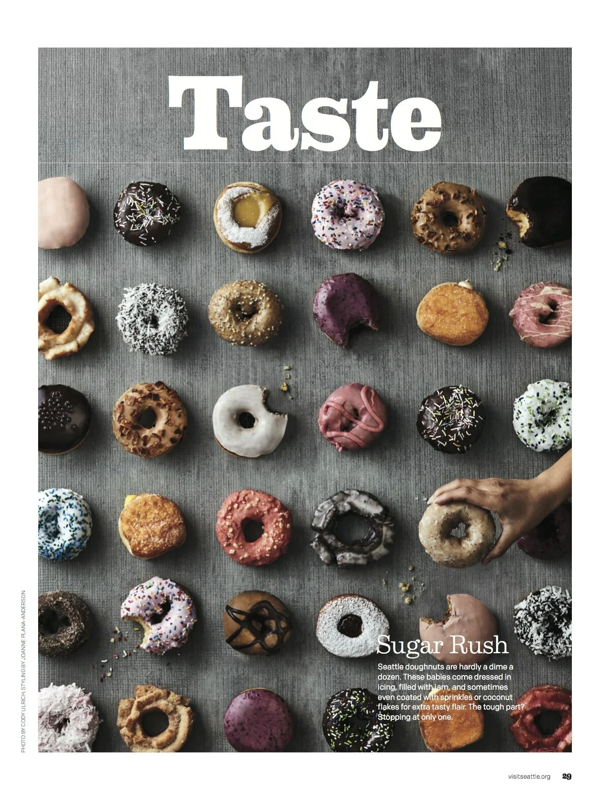 DONUT_Final_Cover.jpeg
