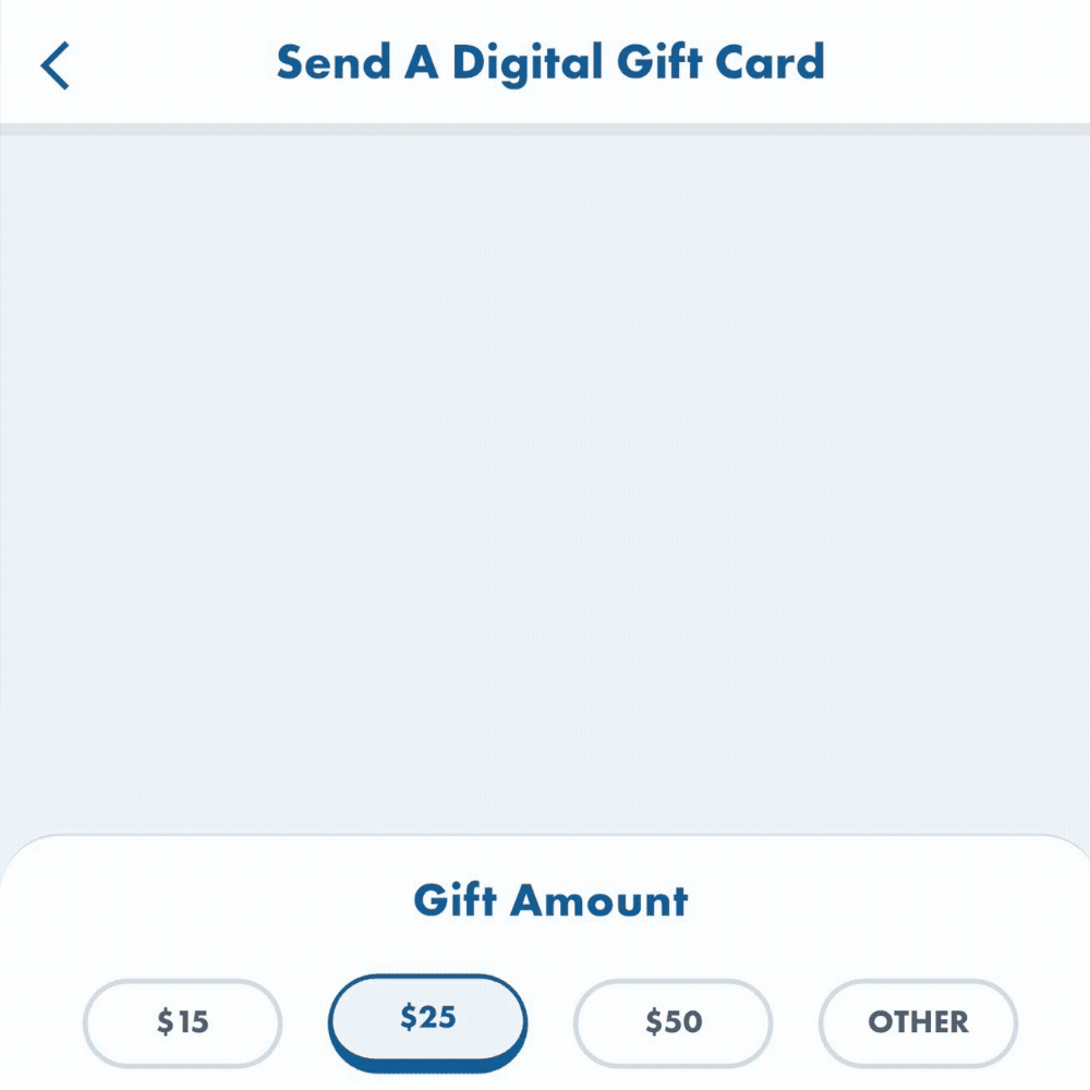 app.gif