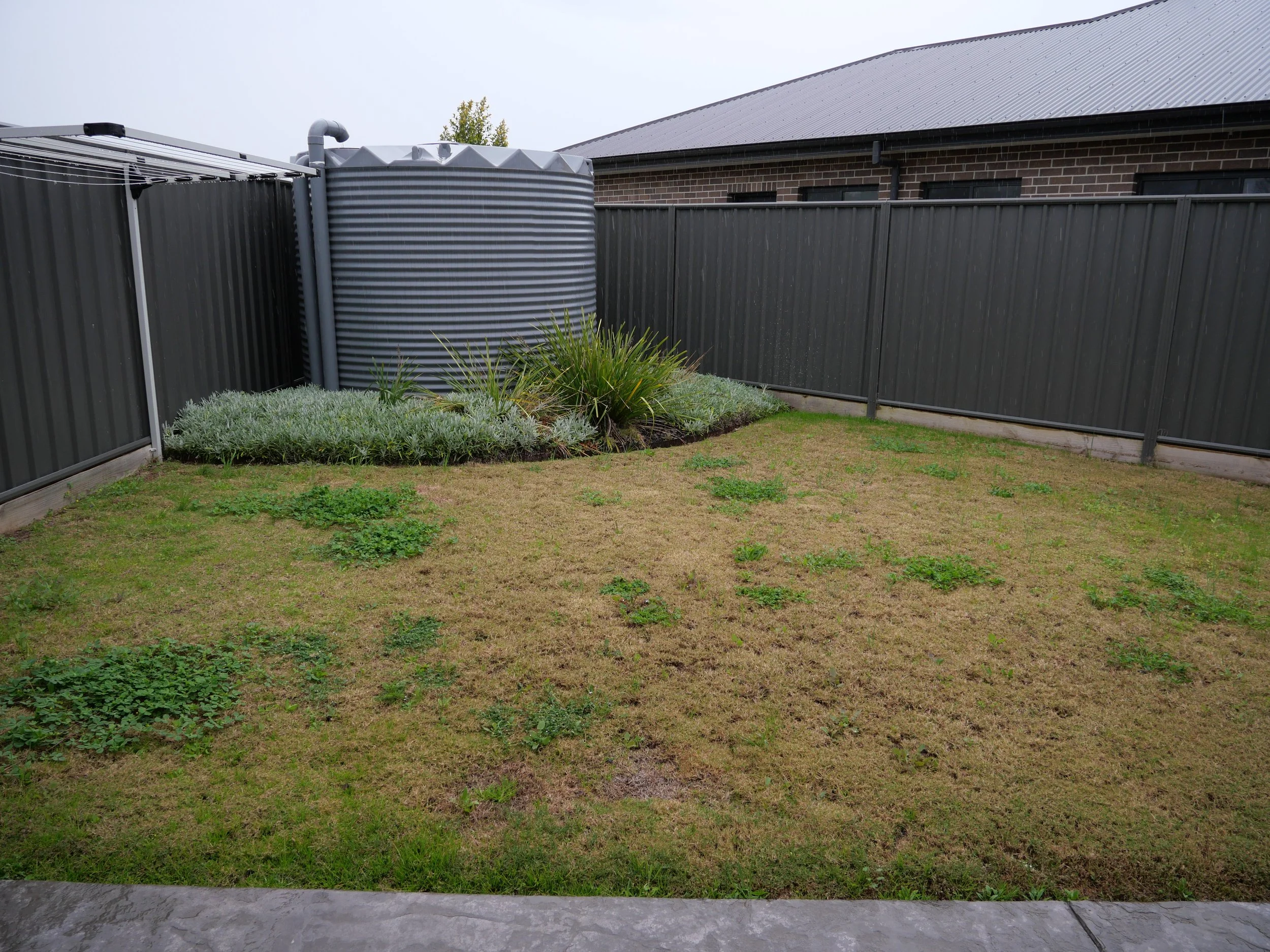 P1000037.JPG