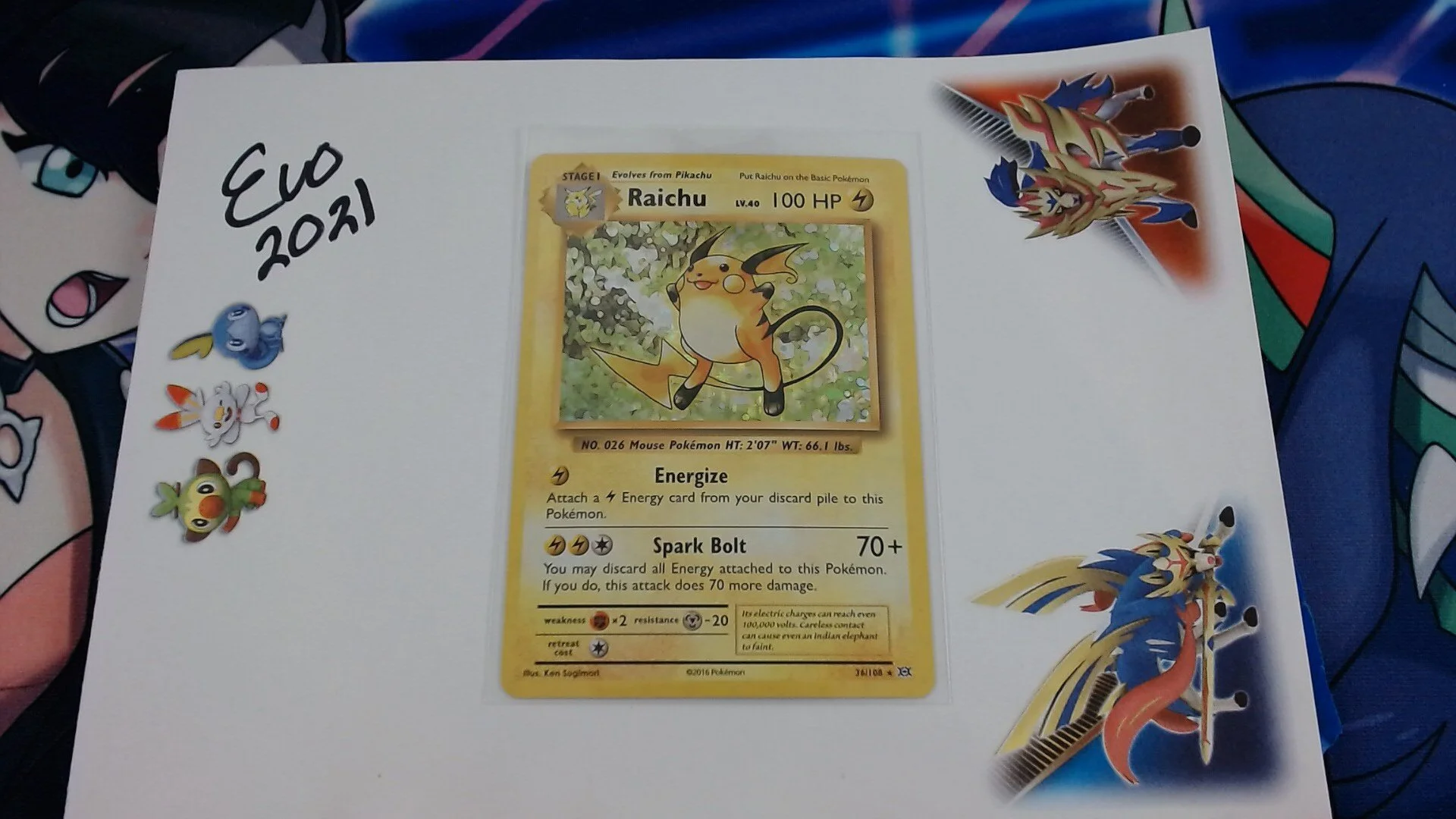 Raichu 36/108 | Holo Rare