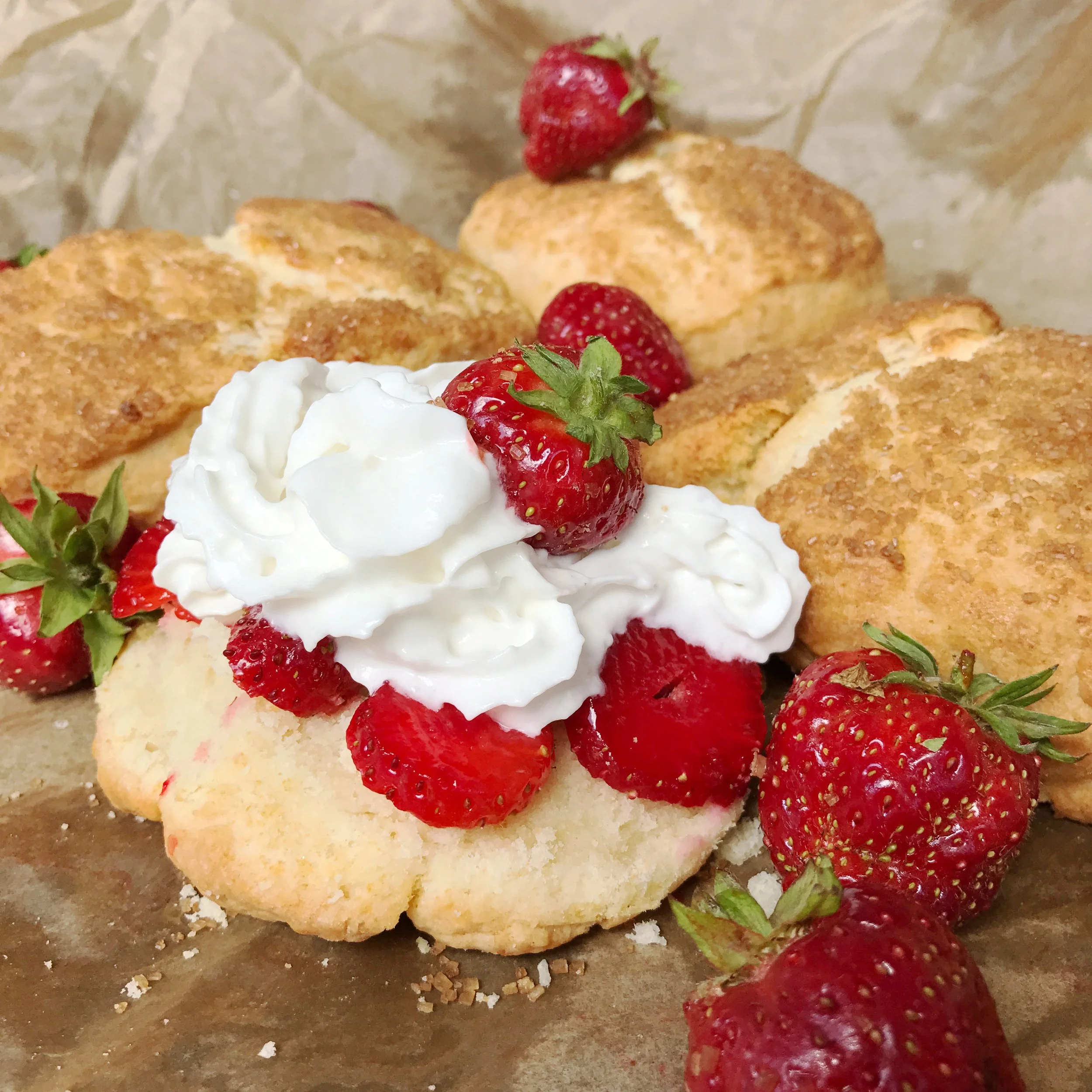 Strawberry Shortcake