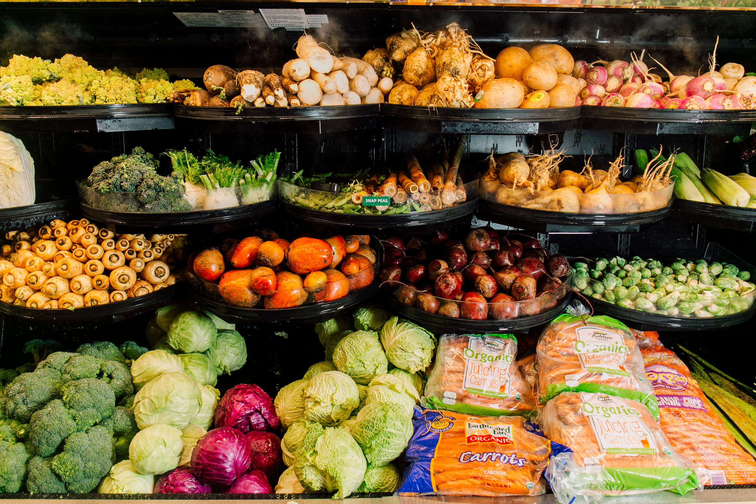 Everything to Know About GMOs