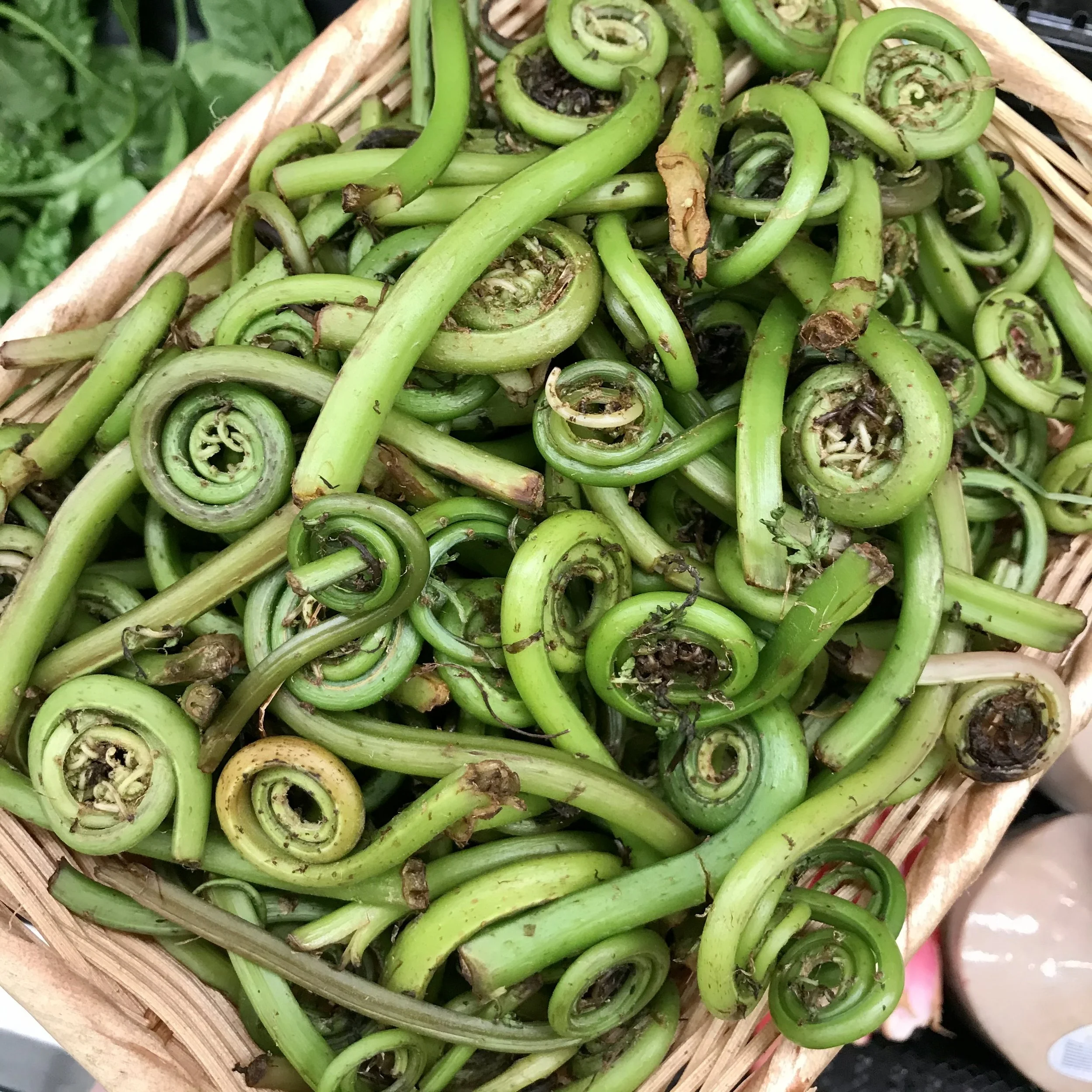 9 Fern-tastic Ways to Eat Fiddleheads