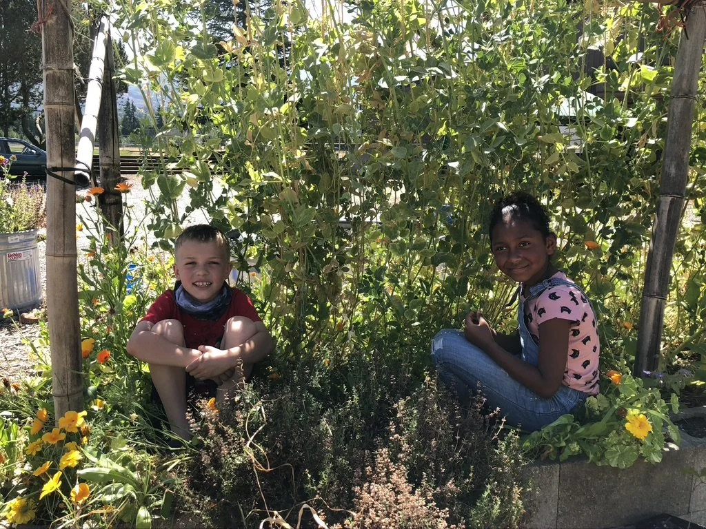 Shop 4% Friday on May 28th to Support Concrete Farm to School