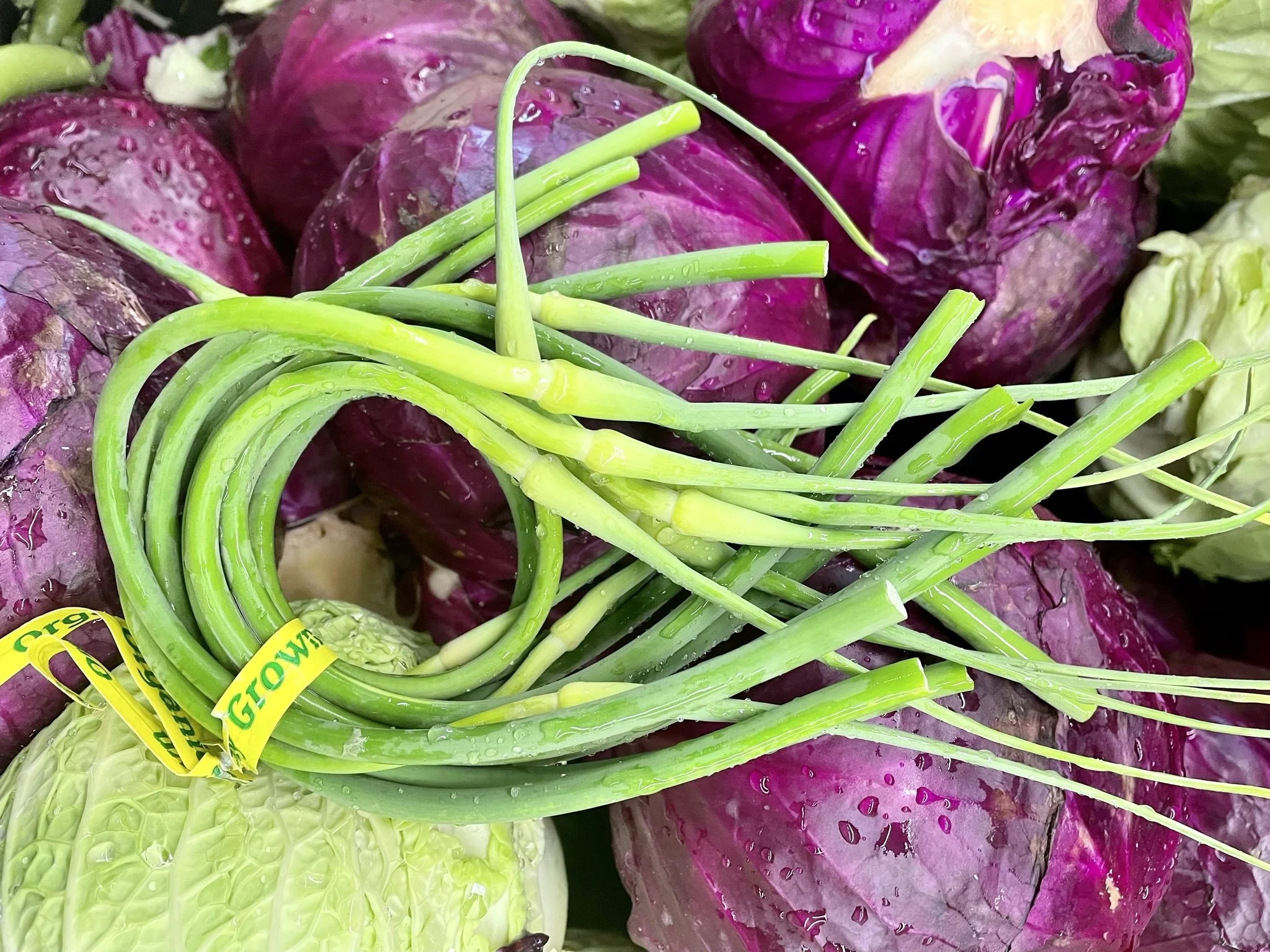 How to Prepare Garlic Scapes + 7 Tasty Recipes