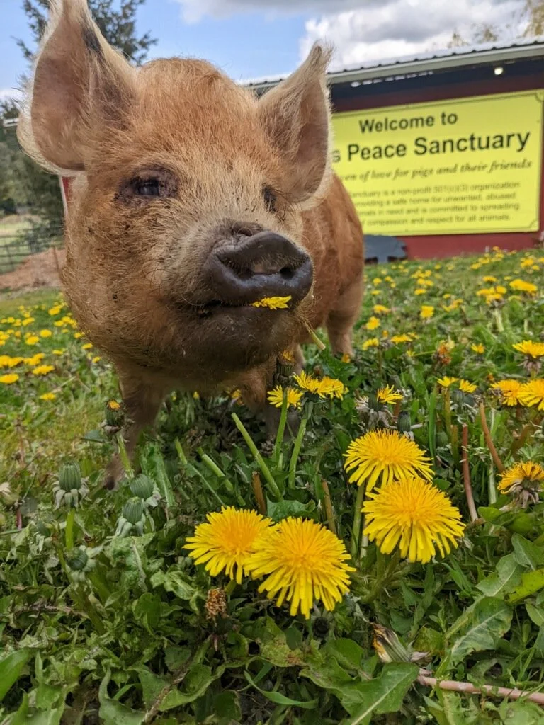 Tokens for Tomorrow: July – September 2022