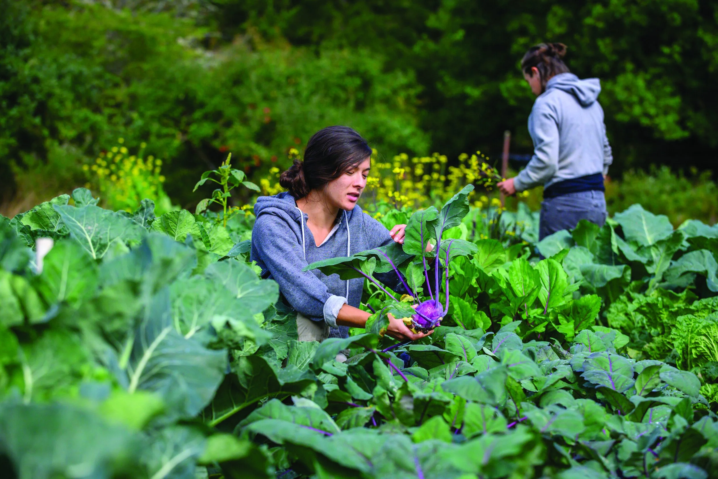 Young Farmers with Passion to Grow