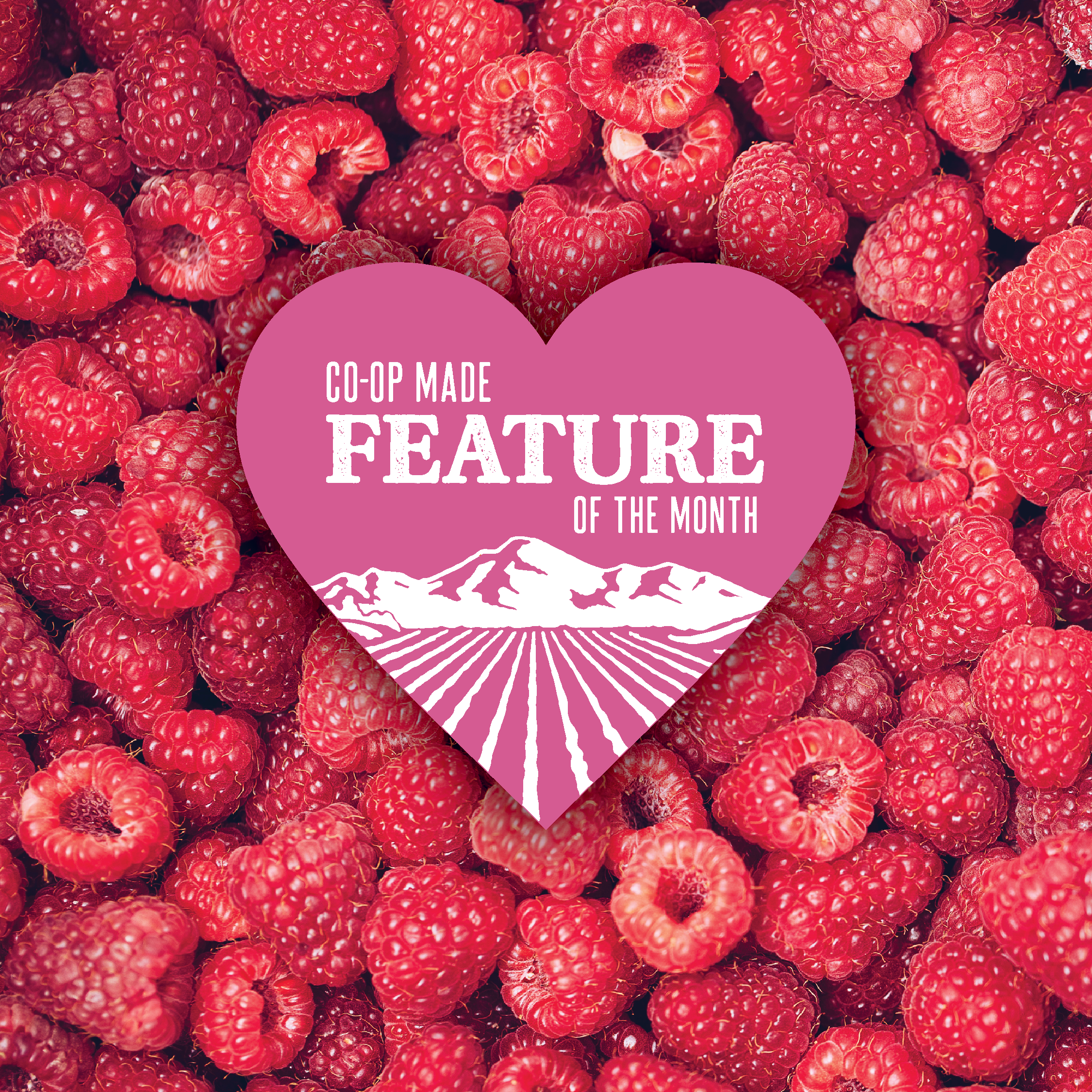 August Co-op Made Features