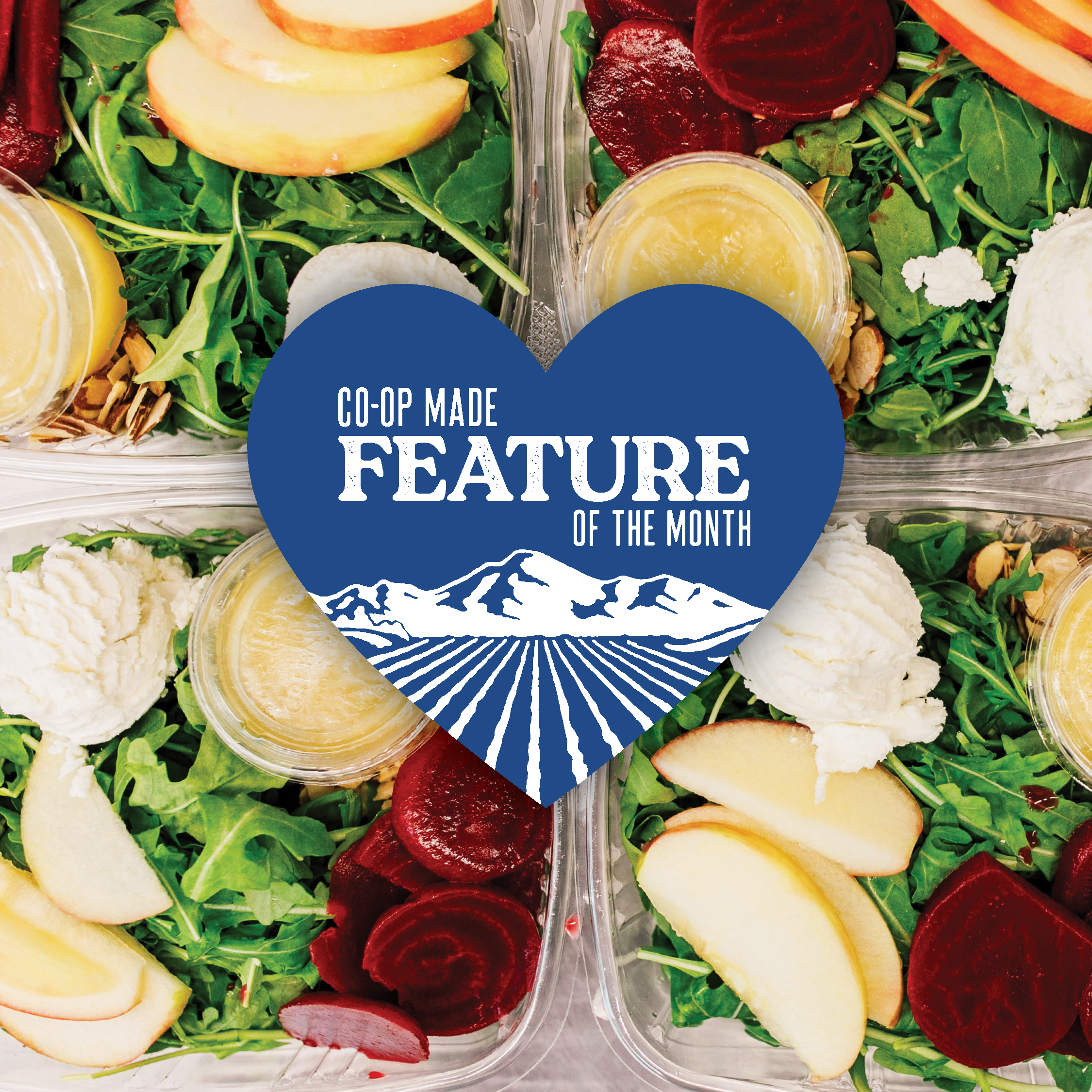 January Co-op Made Features