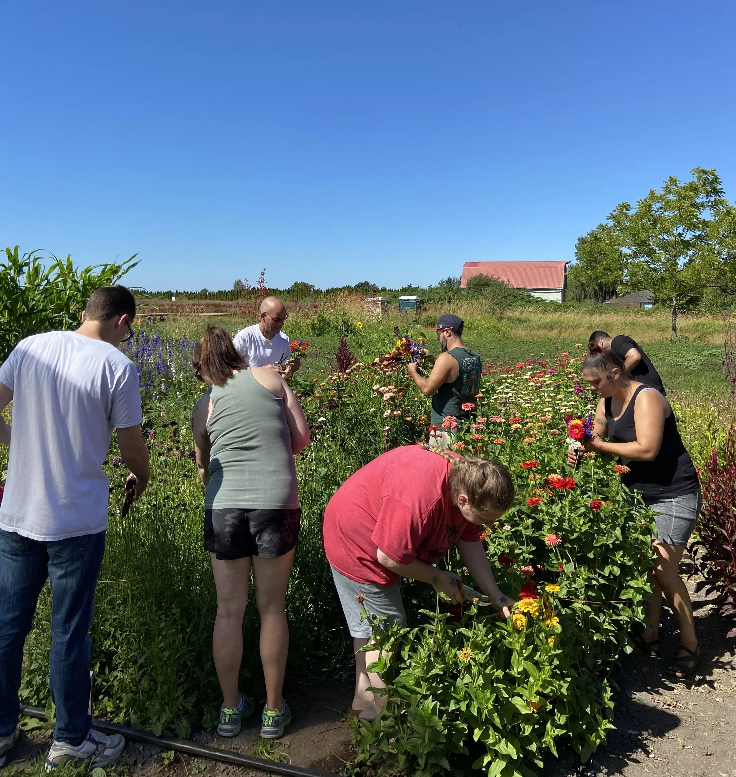 Shop 4% Friday on December 20th to Support New Earth Recovery